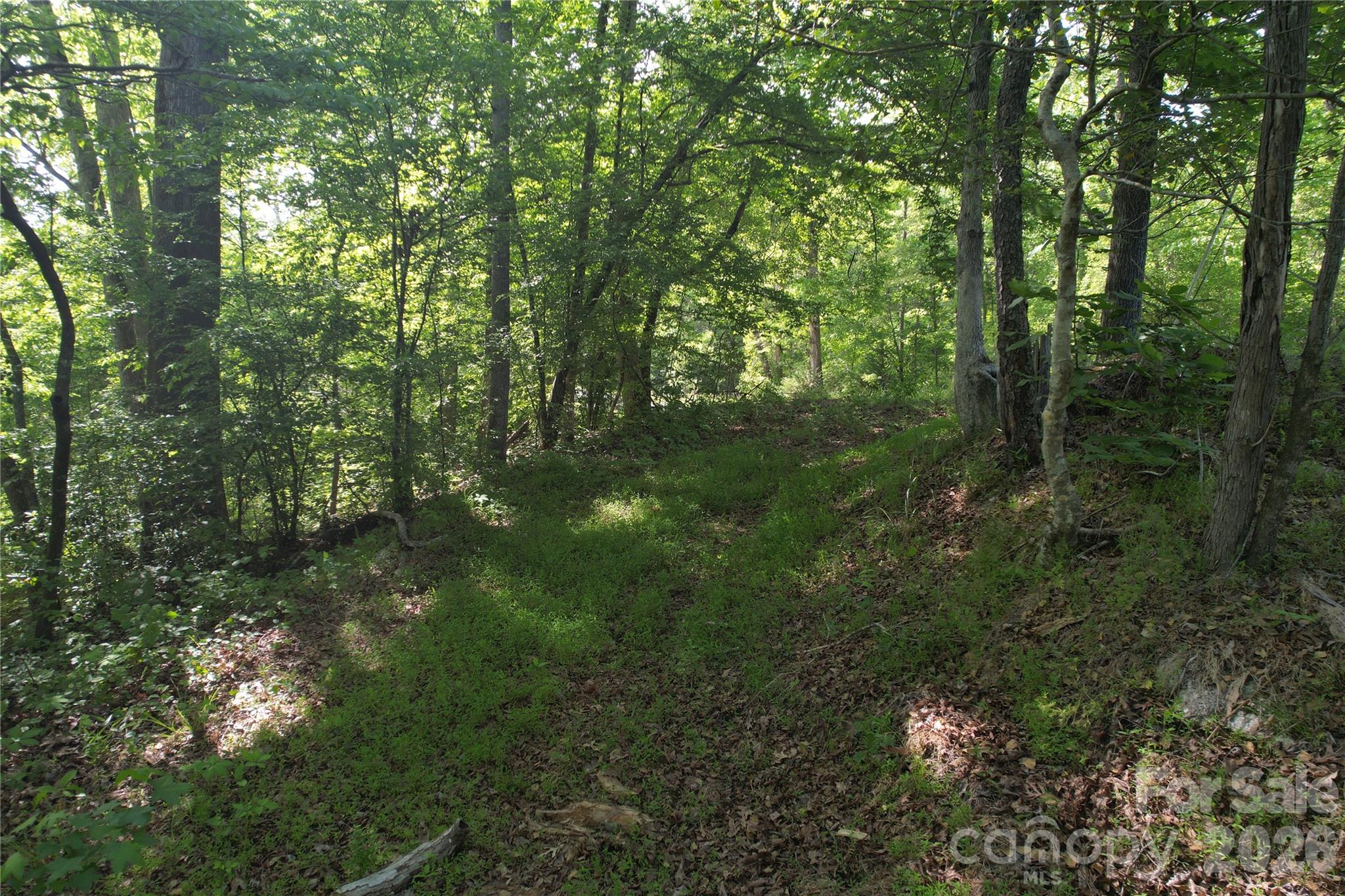 000 Rockford Road