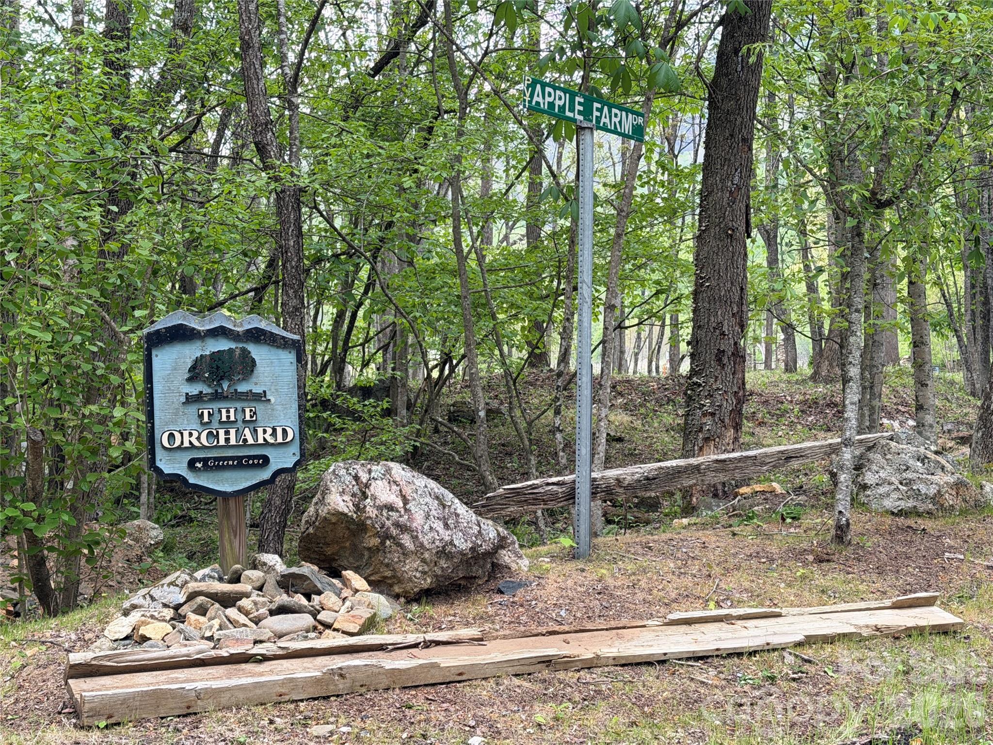 The Orchard of Greene Cove - Land