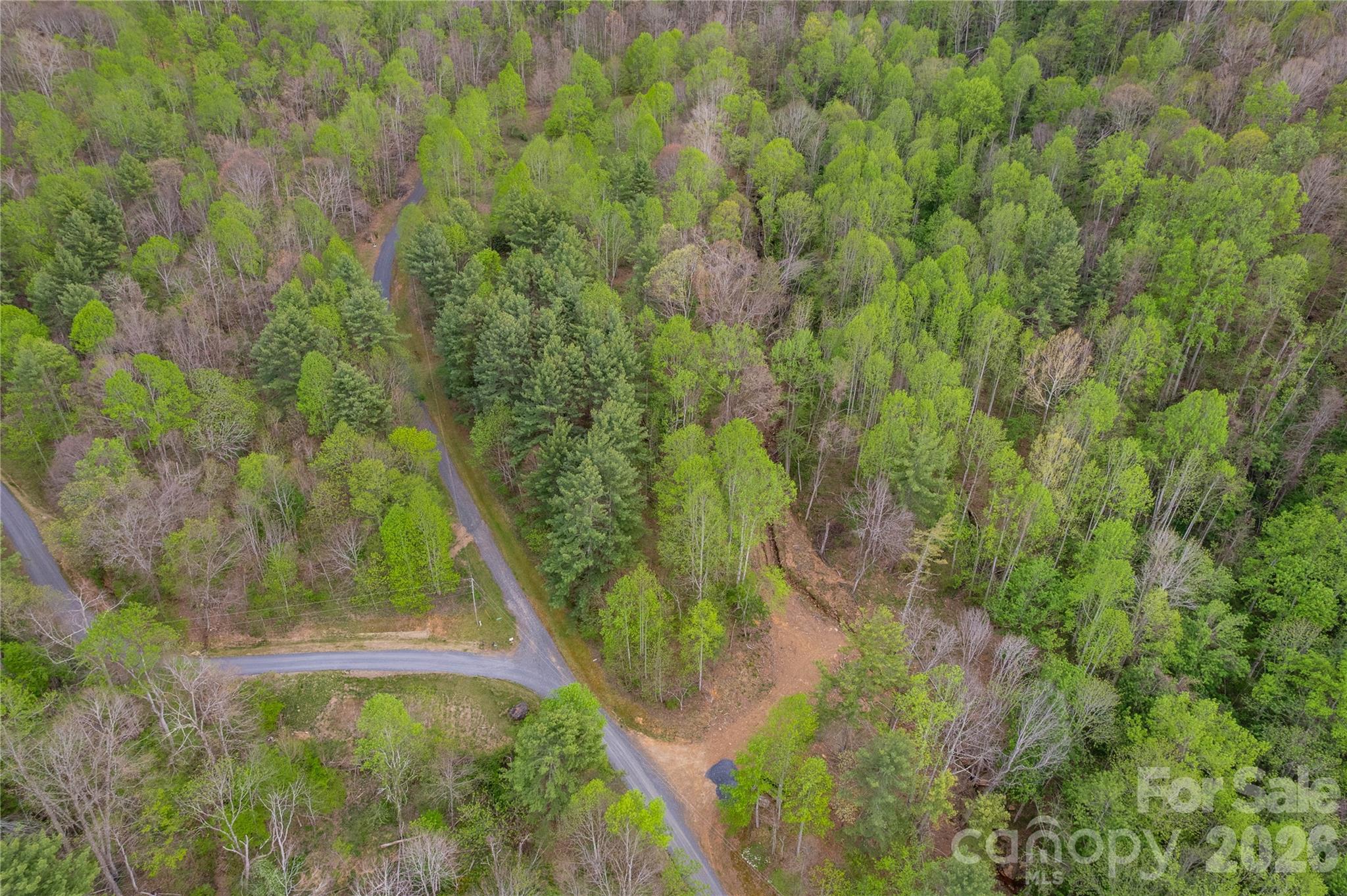The Orchard of Greene Cove - Land