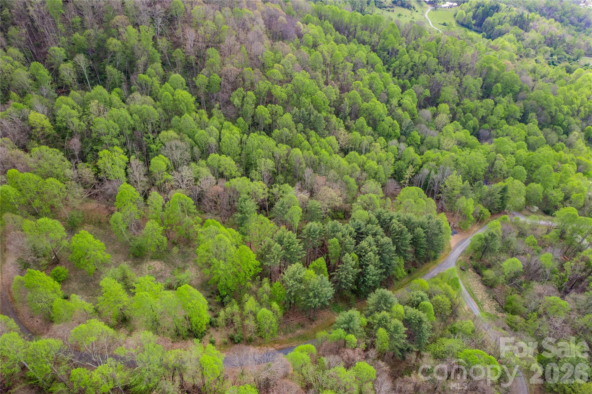 The Orchard of Greene Cove - Land