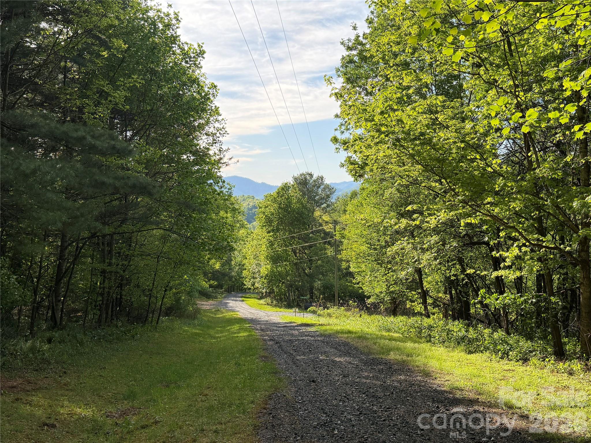 The Orchard of Greene Cove - Land