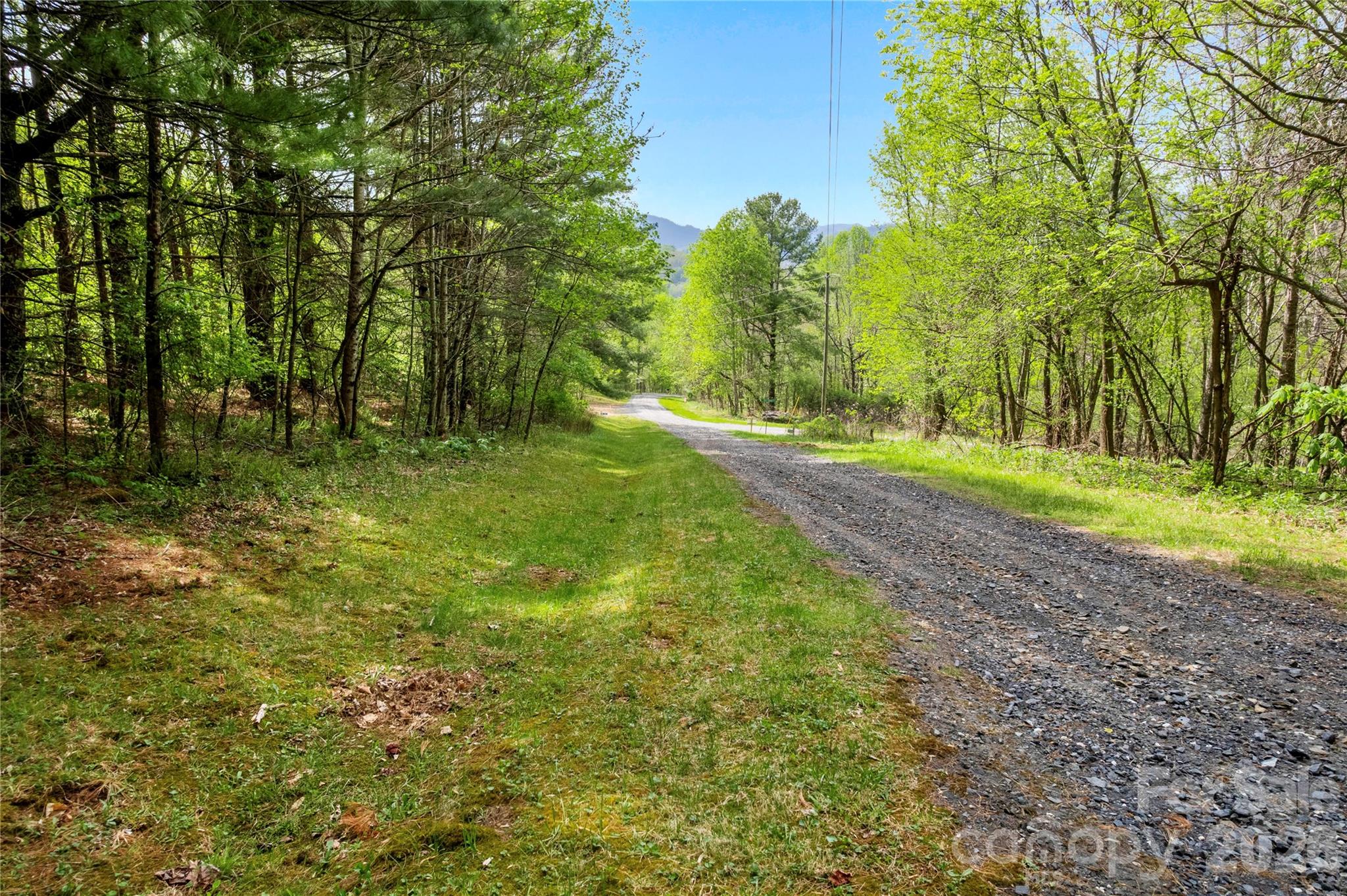 The Orchard of Greene Cove - Land