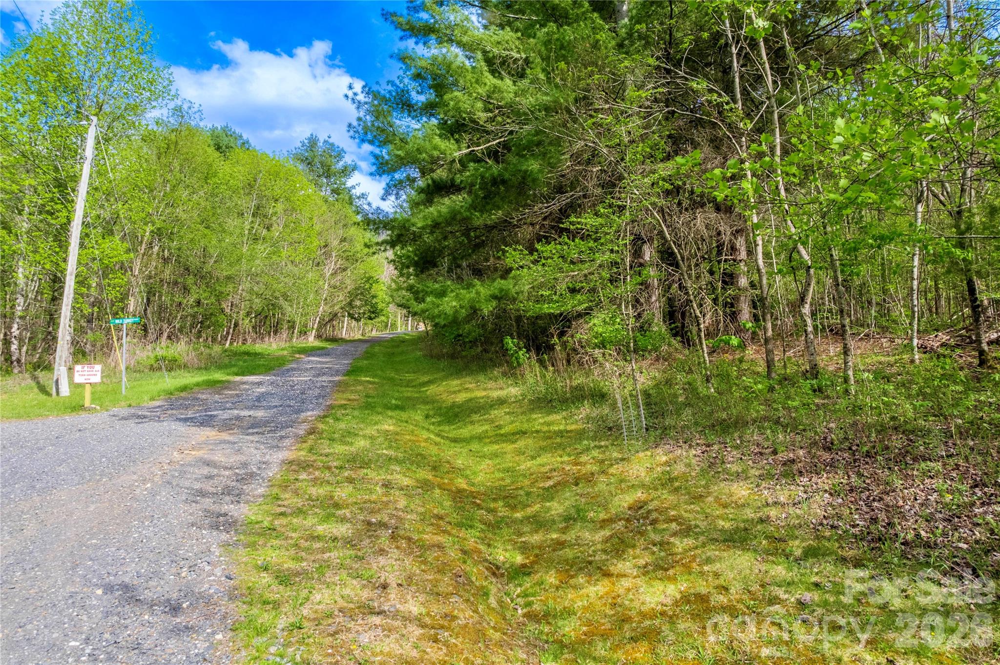 The Orchard of Greene Cove - Land