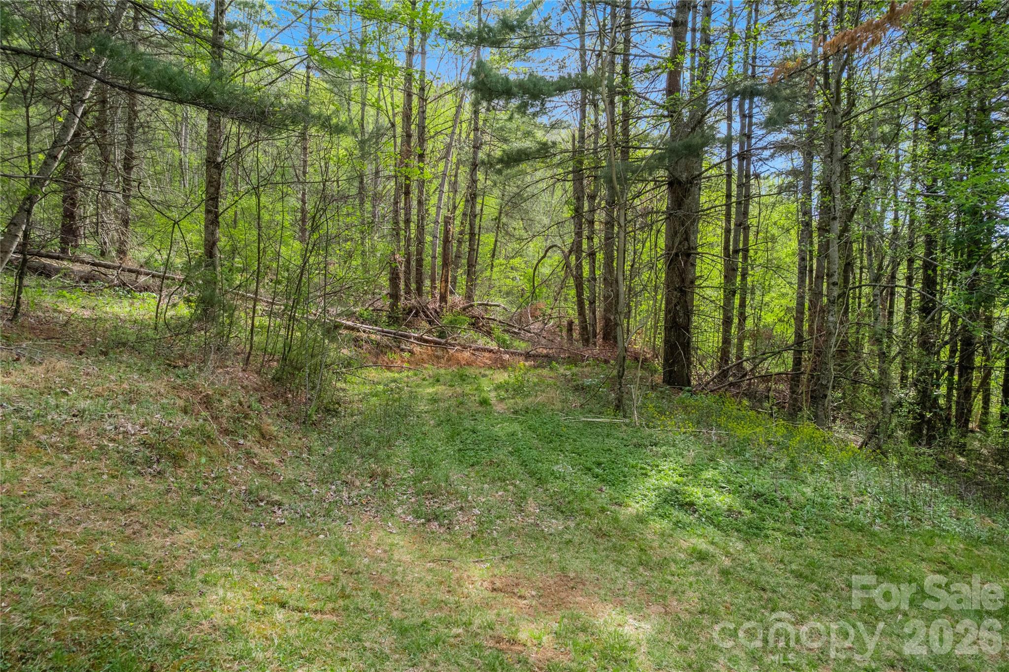 The Orchard of Greene Cove - Land