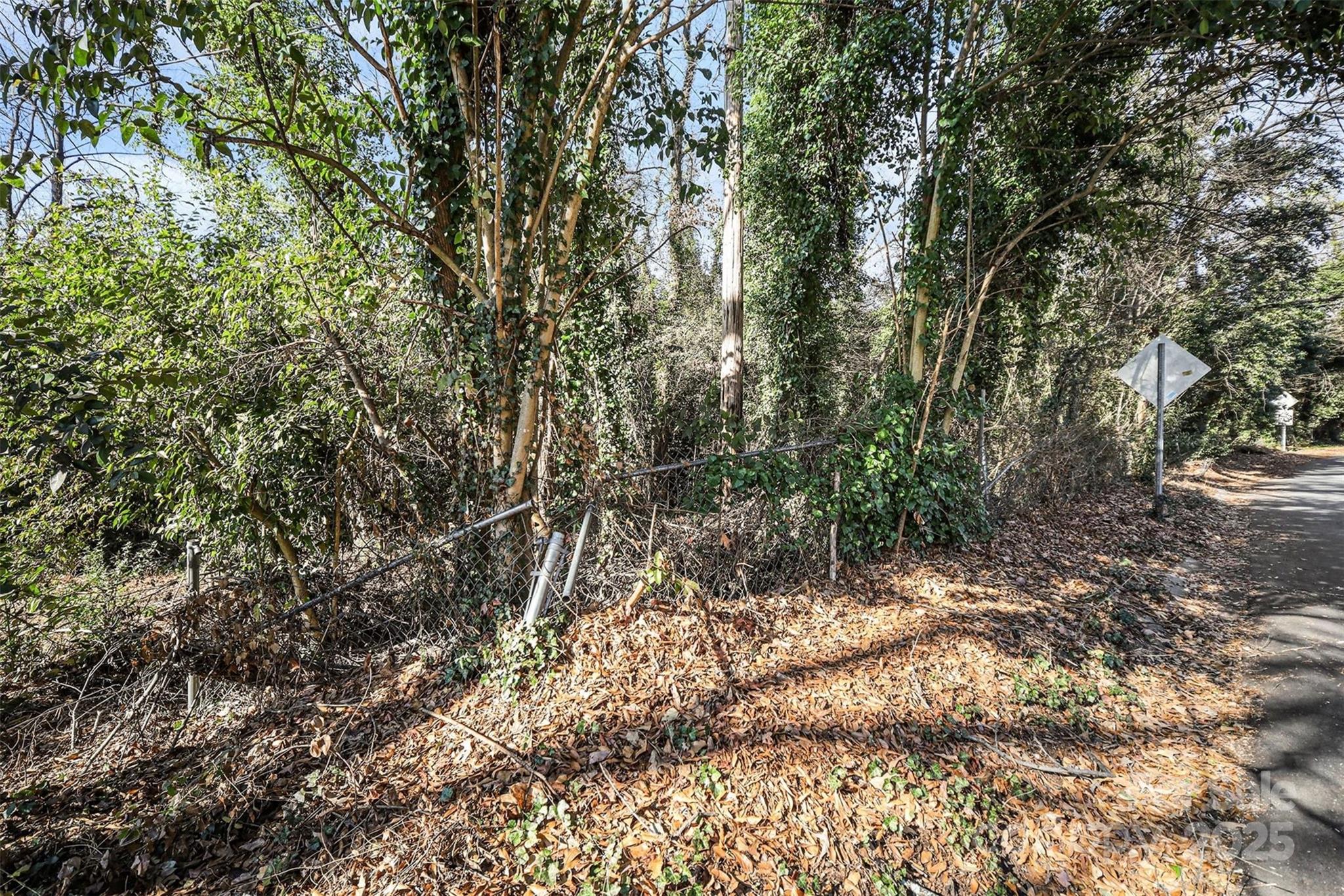 1341 Mulberry Avenue