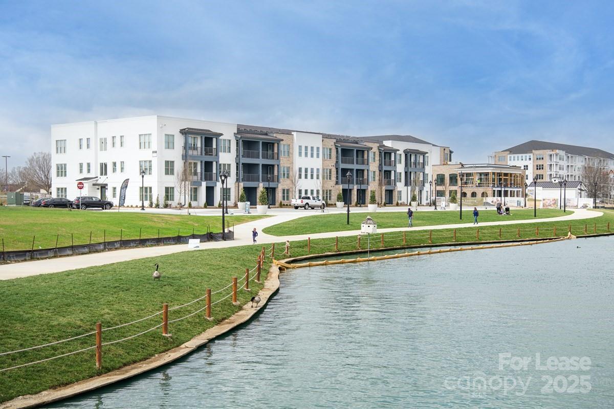 None - Residential Lease