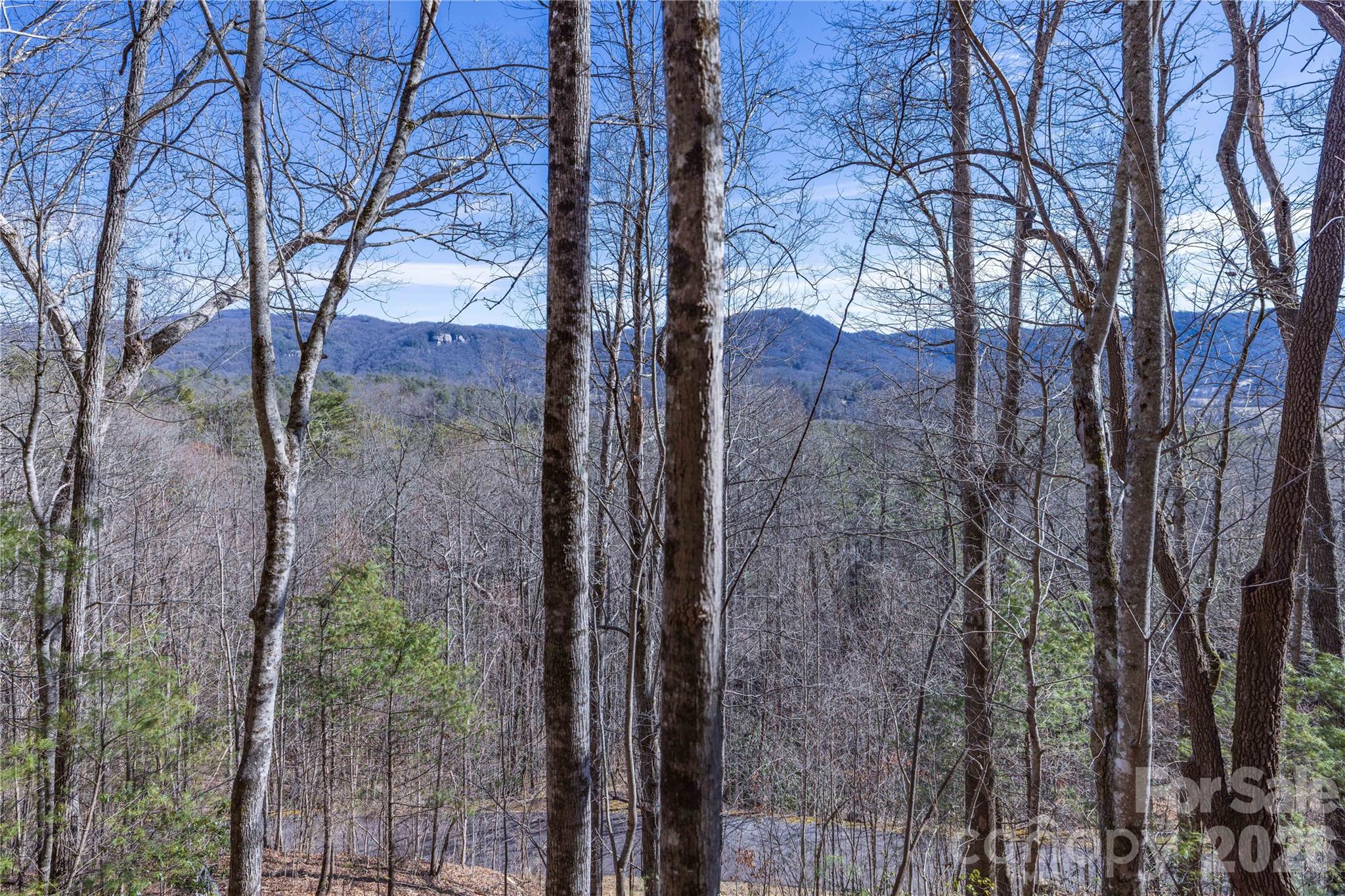 Mountain Brook - Land