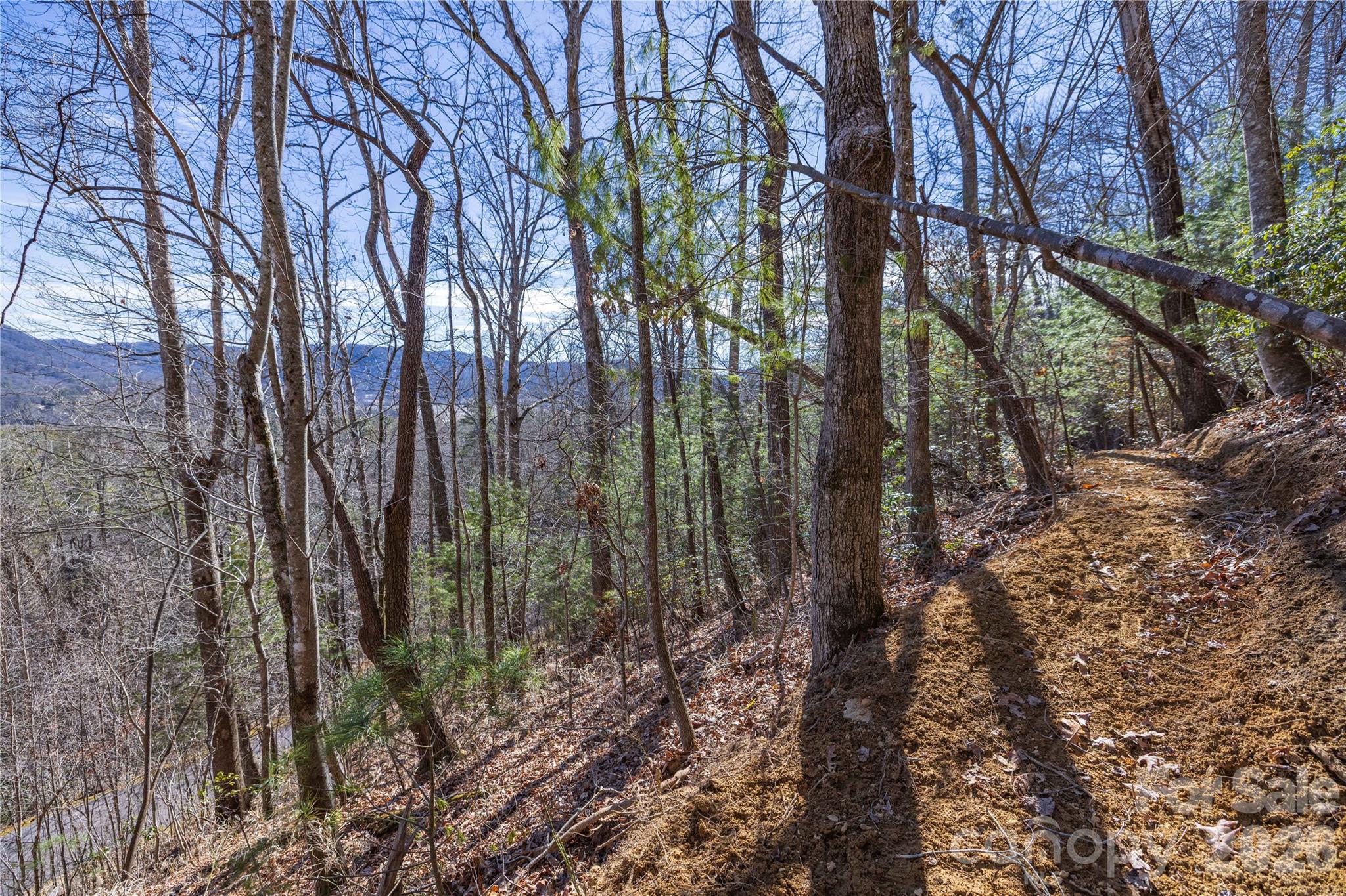 Mountain Brook - Land