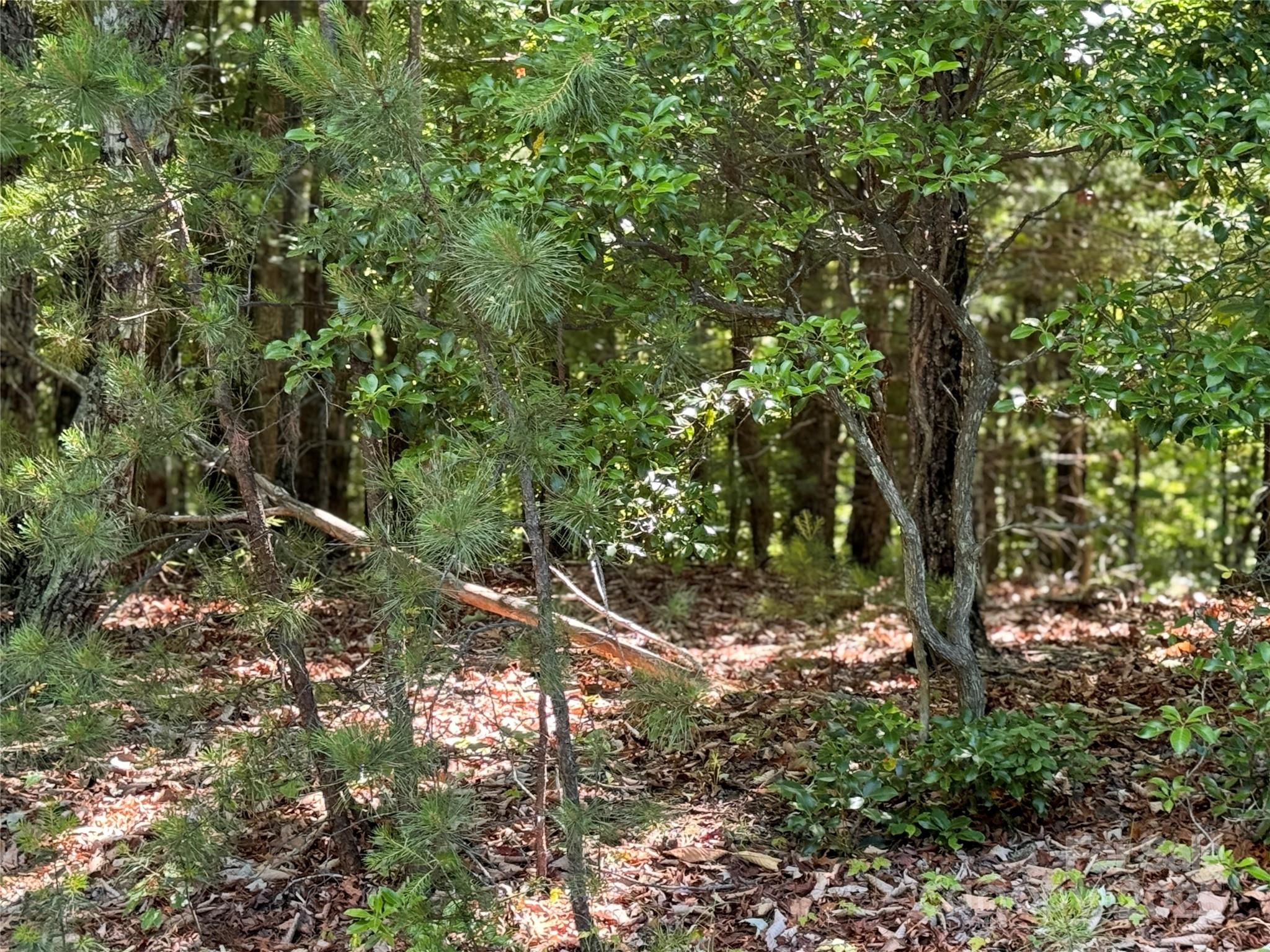 133 Steeple Chase Trail