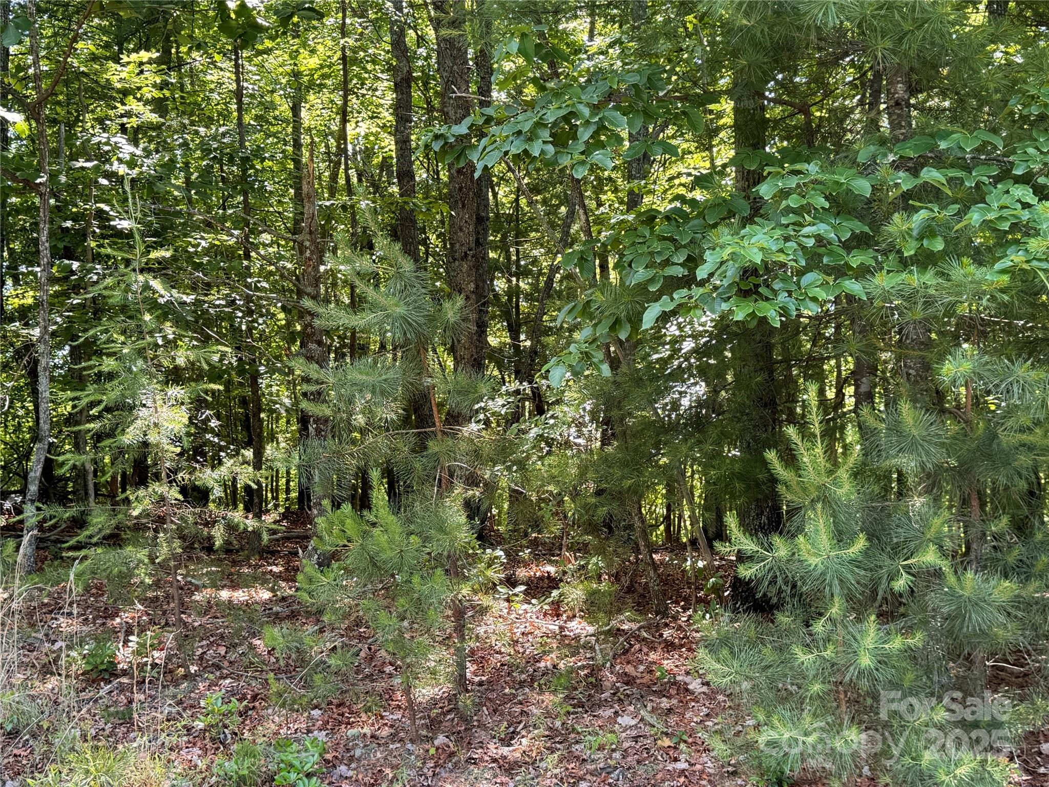 133 Steeple Chase Trail