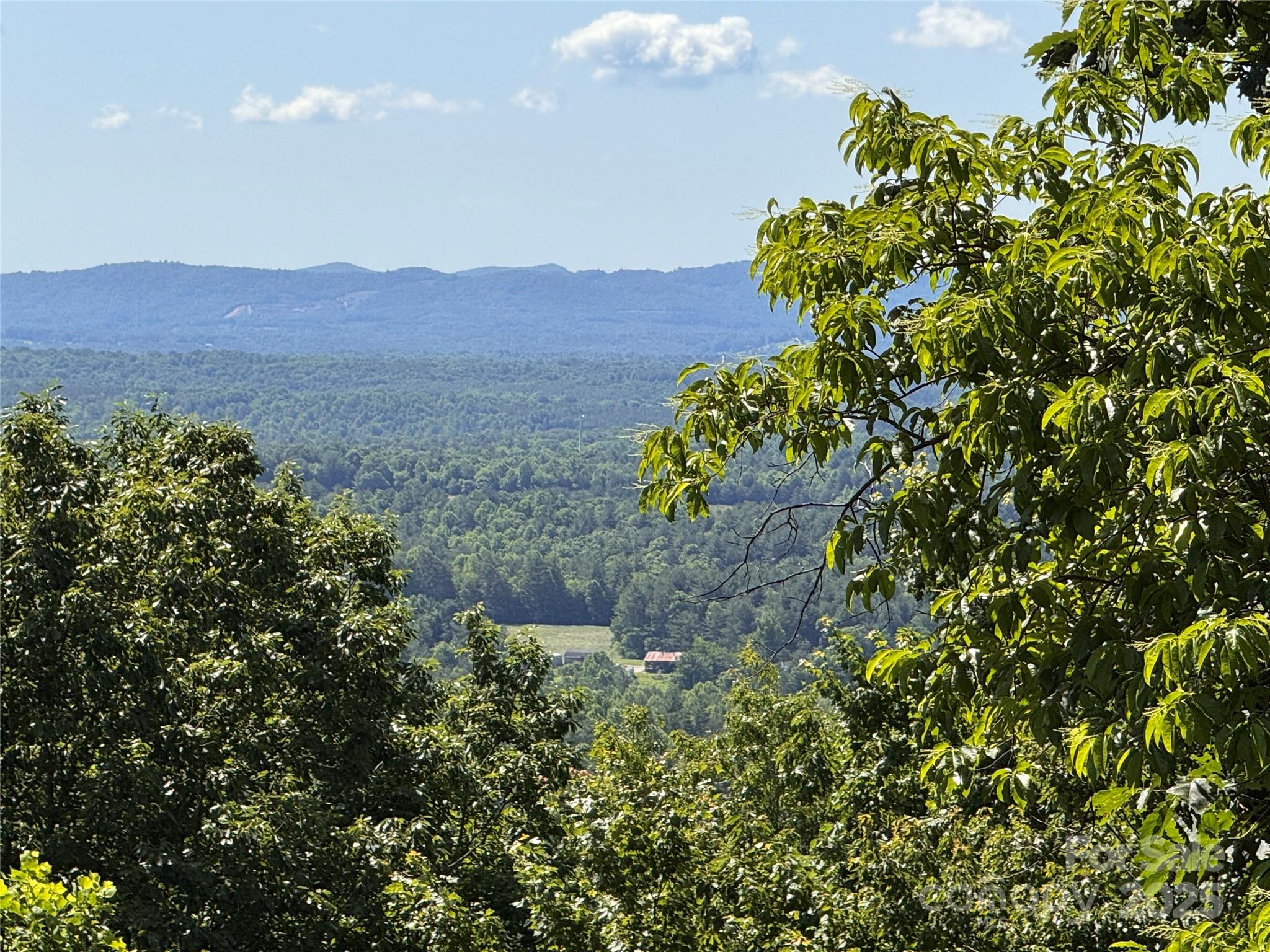 133 Steeple Chase Trail