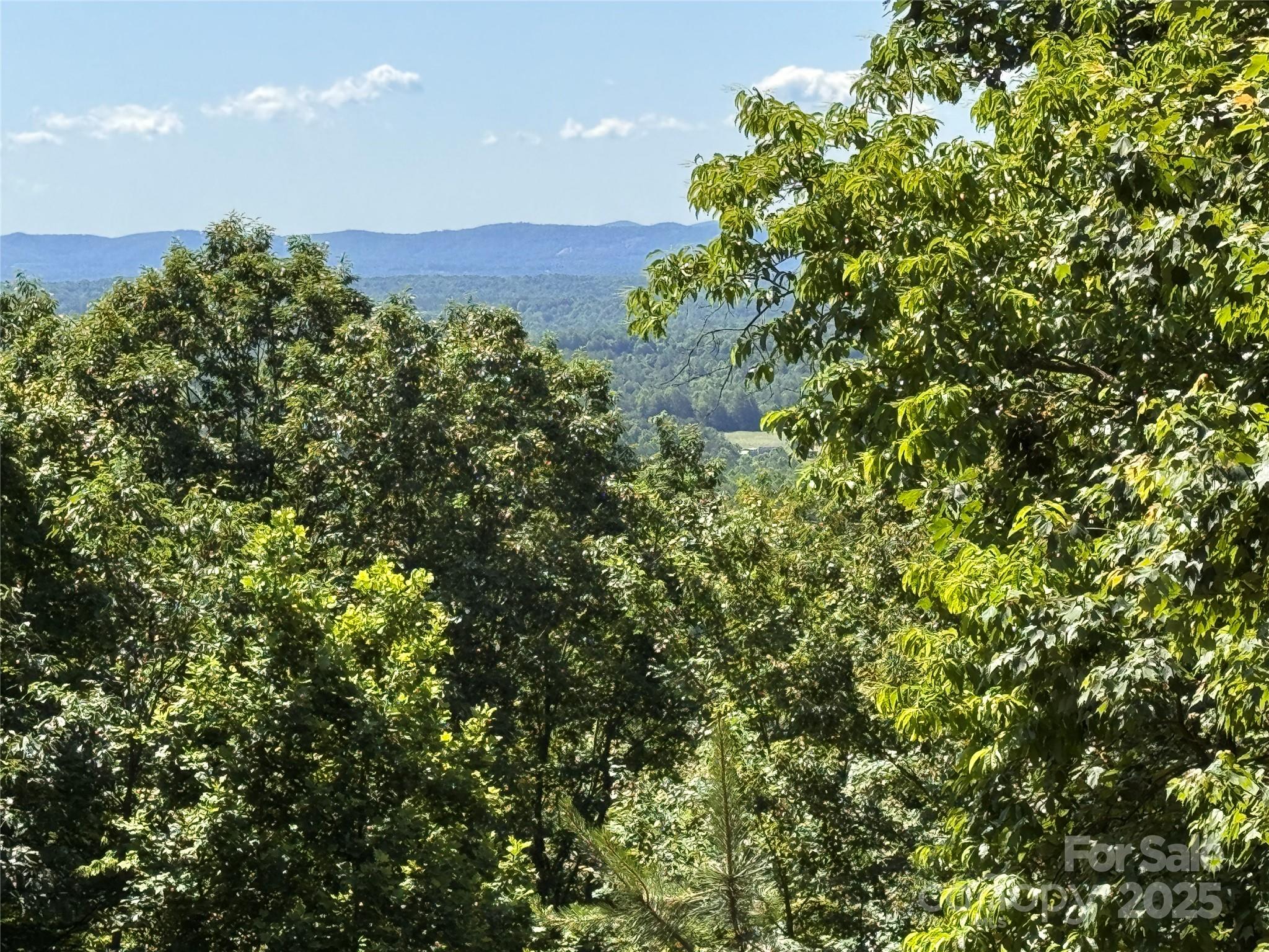 133 Steeple Chase Trail