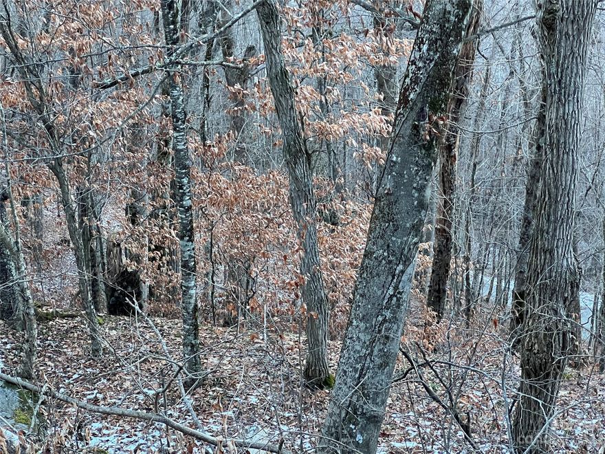 The beautiful Wolf Laurel gated community affords all the mountain living you could wish for with plenty to do summer and winter. Get your memberships and enjoy golf, horse back riding, swimming and several other amenities all at impressive heights with incredible views! Do you love hiking? The Appalachian Trail runs close by so you can jump on the local access points!