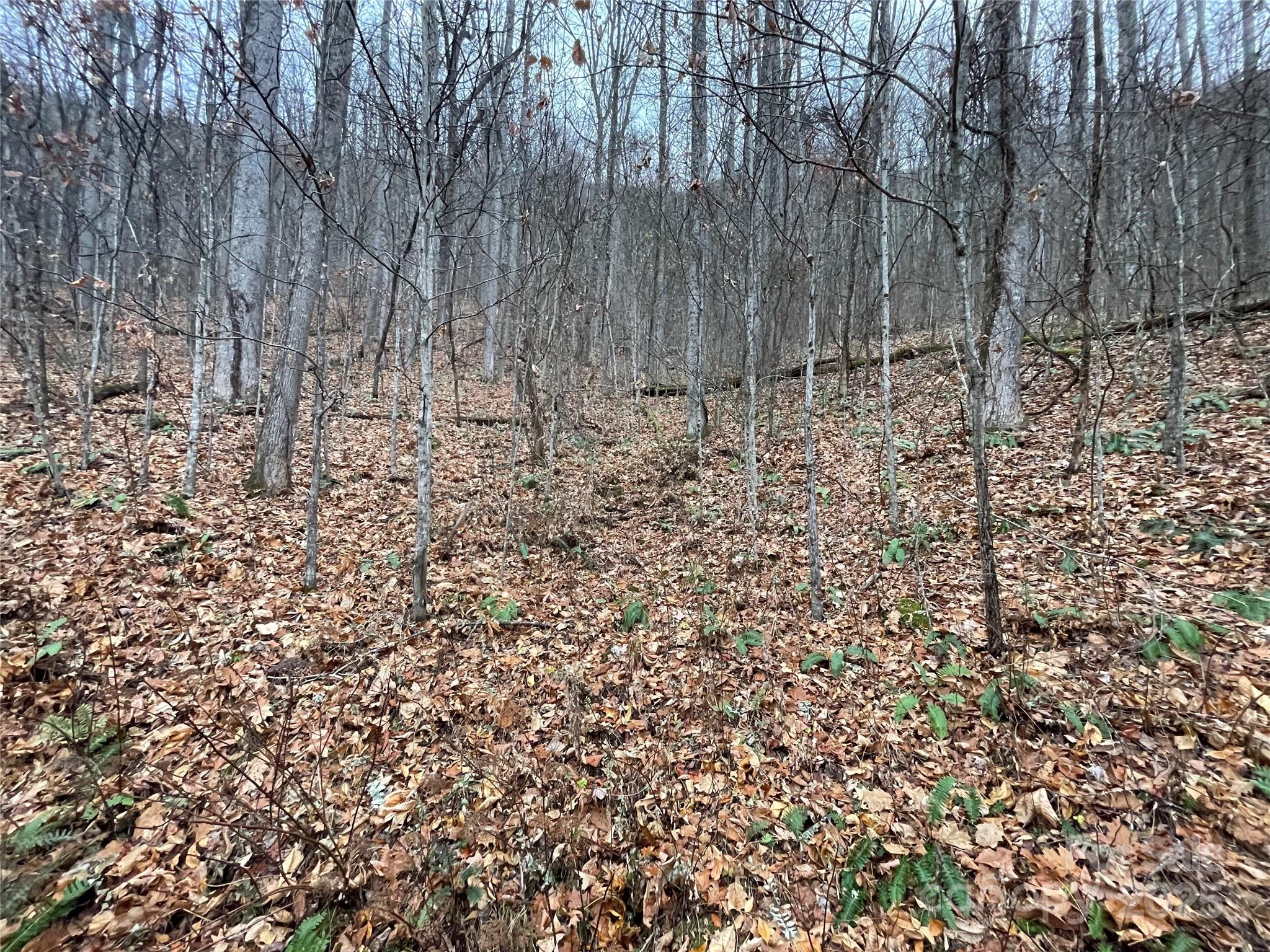 805 Sparkling Falls Road