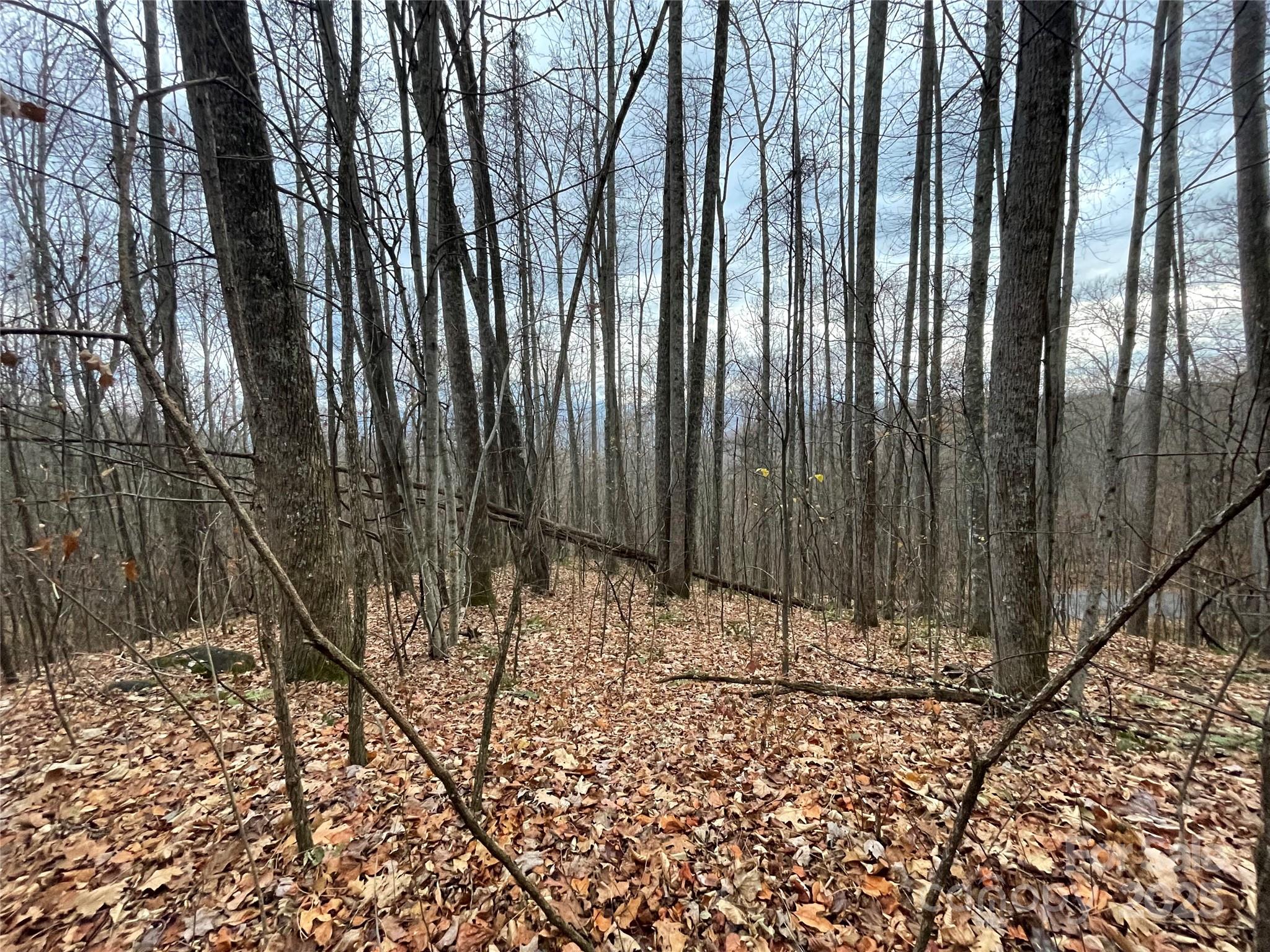 Black Bear Falls - Land