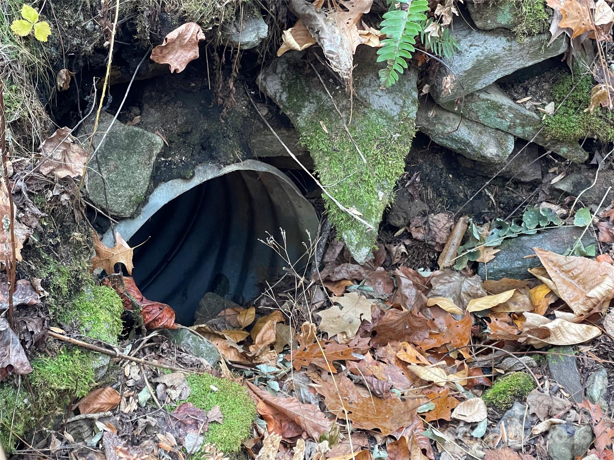 Black Bear Falls - Land