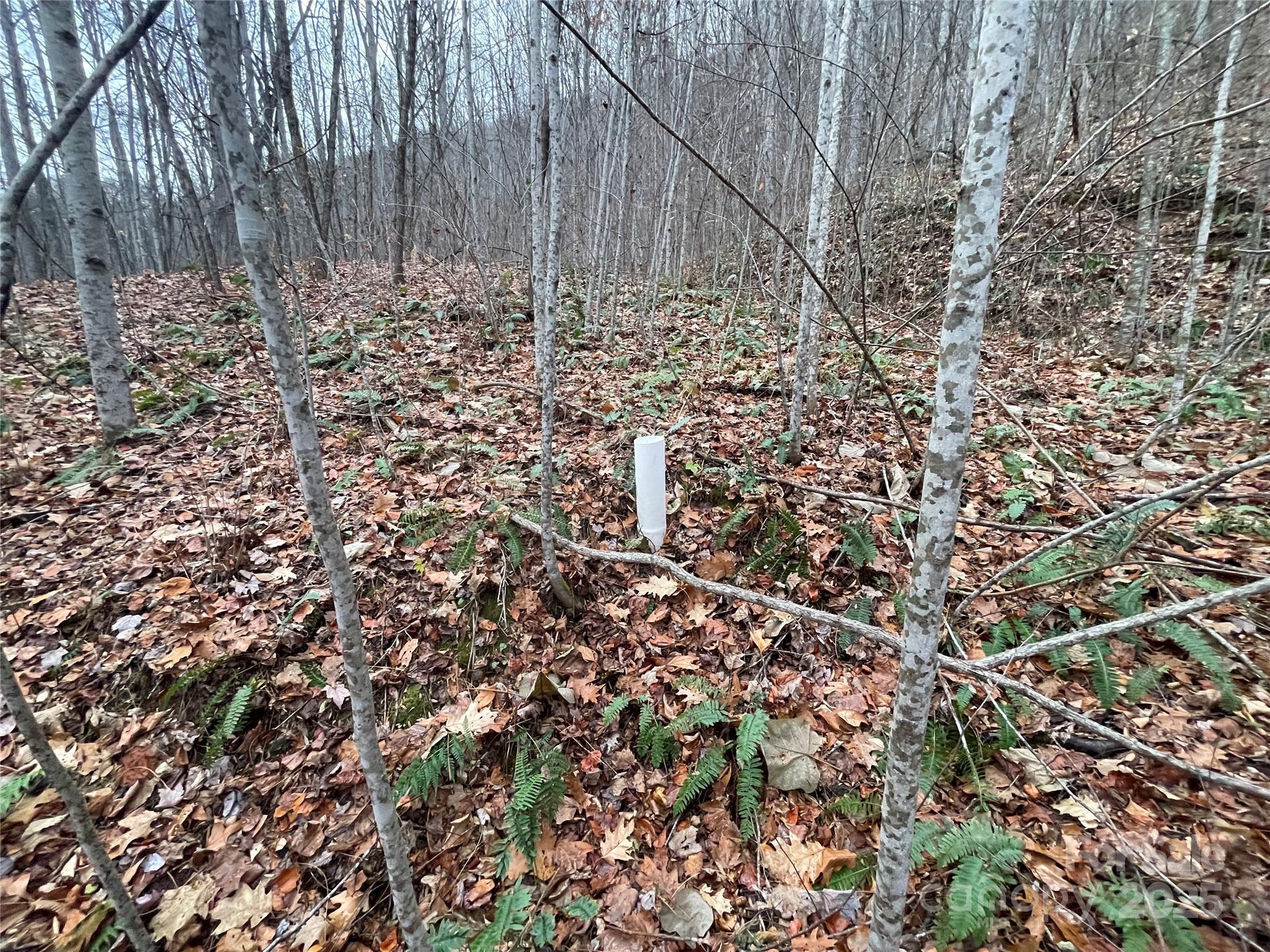 Black Bear Falls - Land