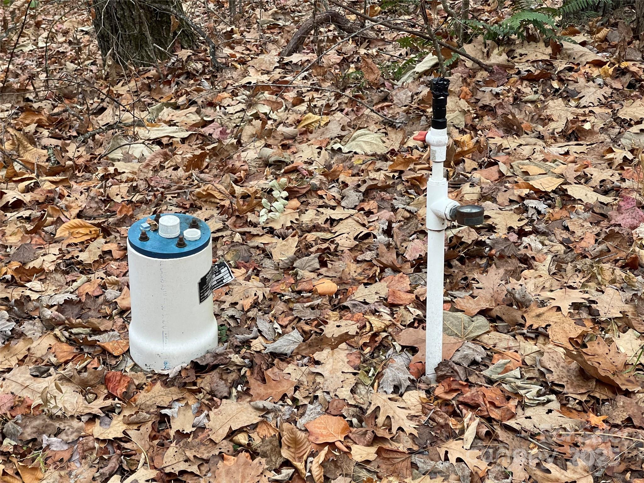 Black Bear Falls - Land