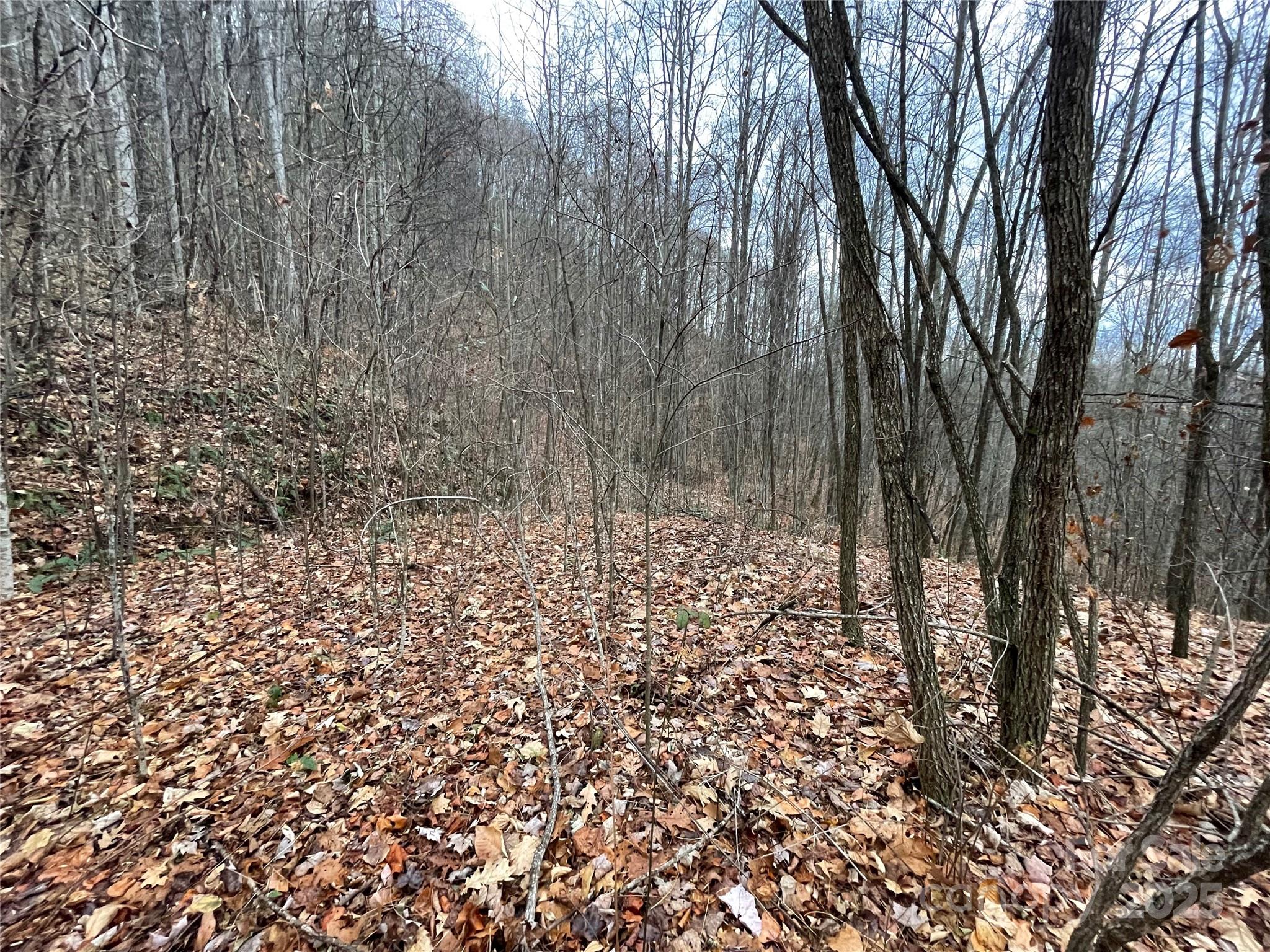 Black Bear Falls - Land