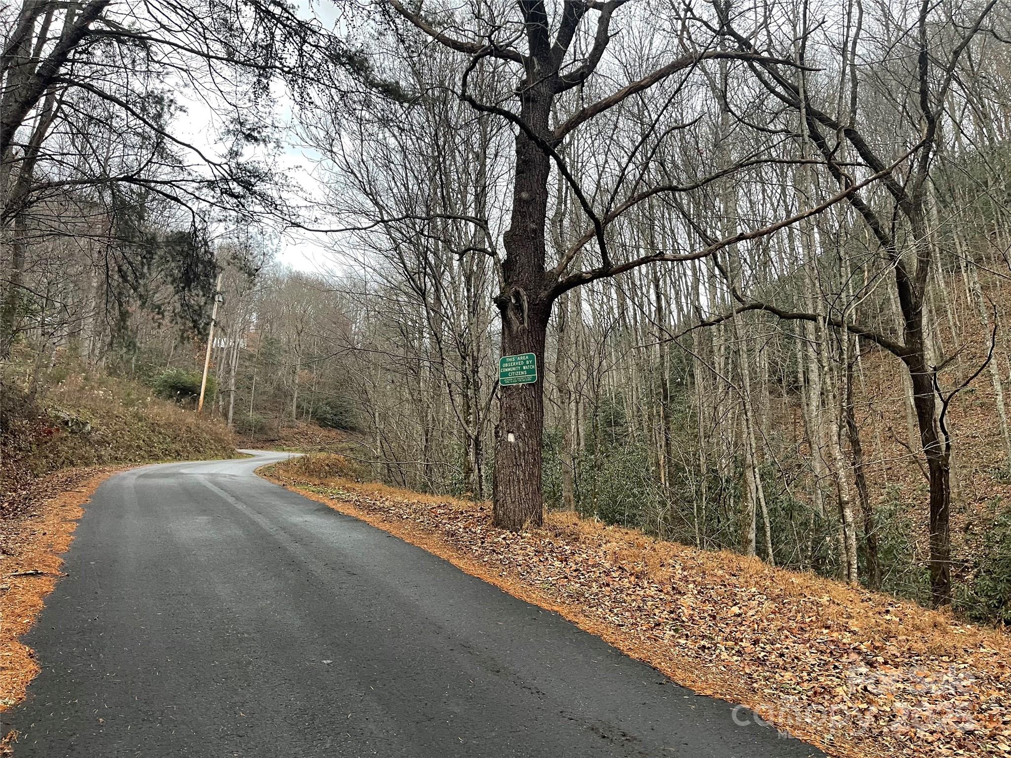 Black Bear Falls - Land