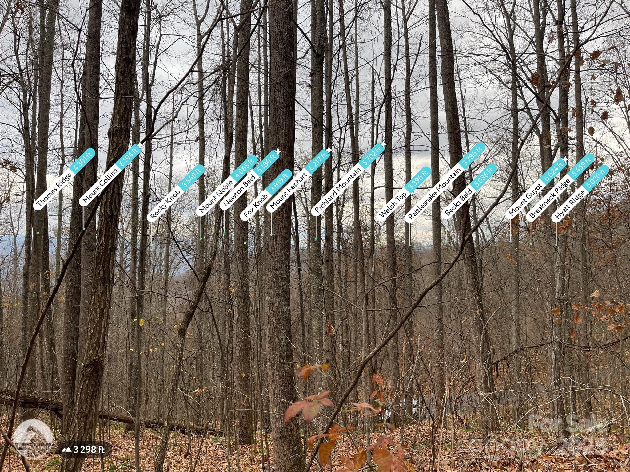 Black Bear Falls - Land