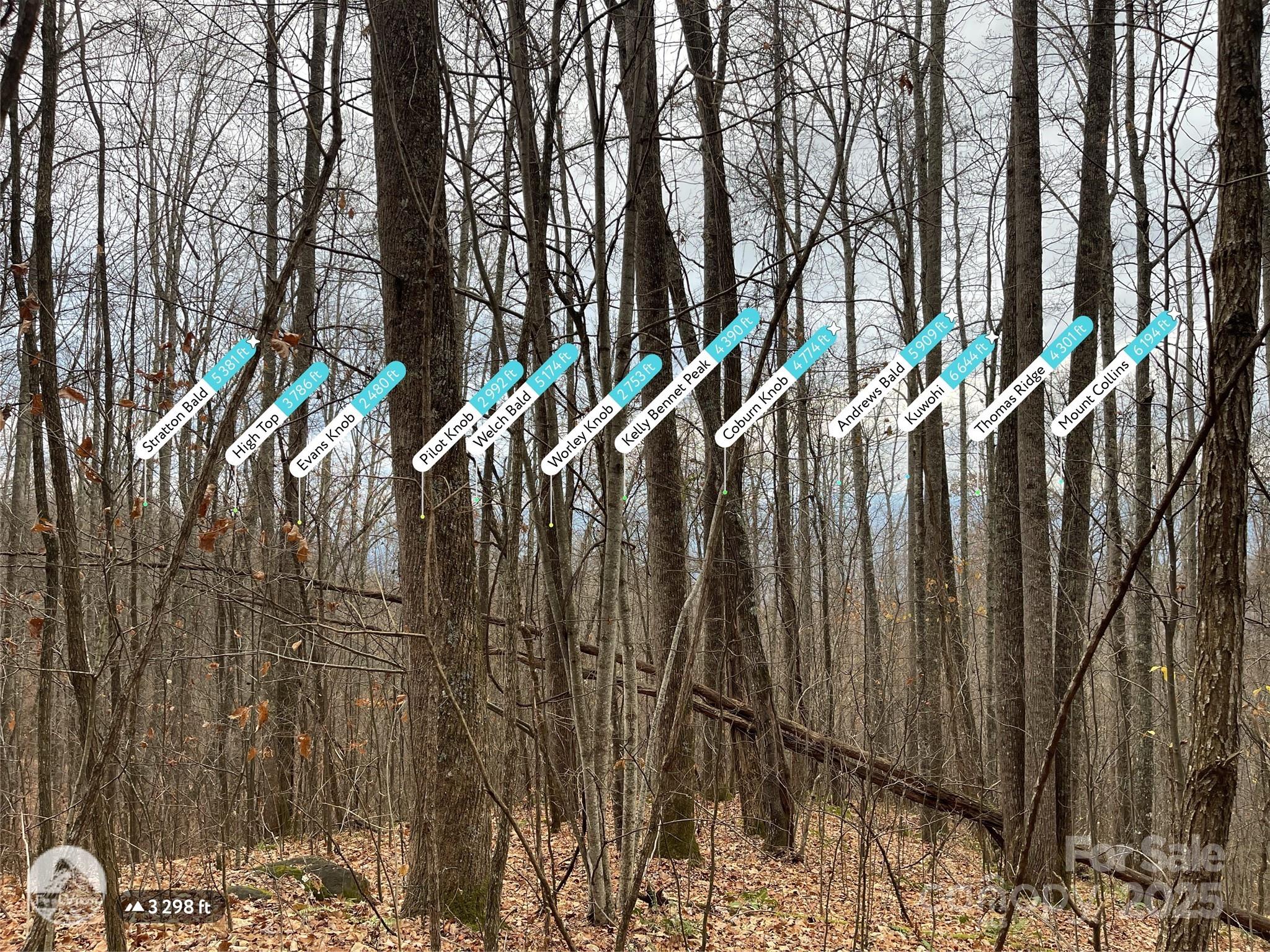 Black Bear Falls - Land