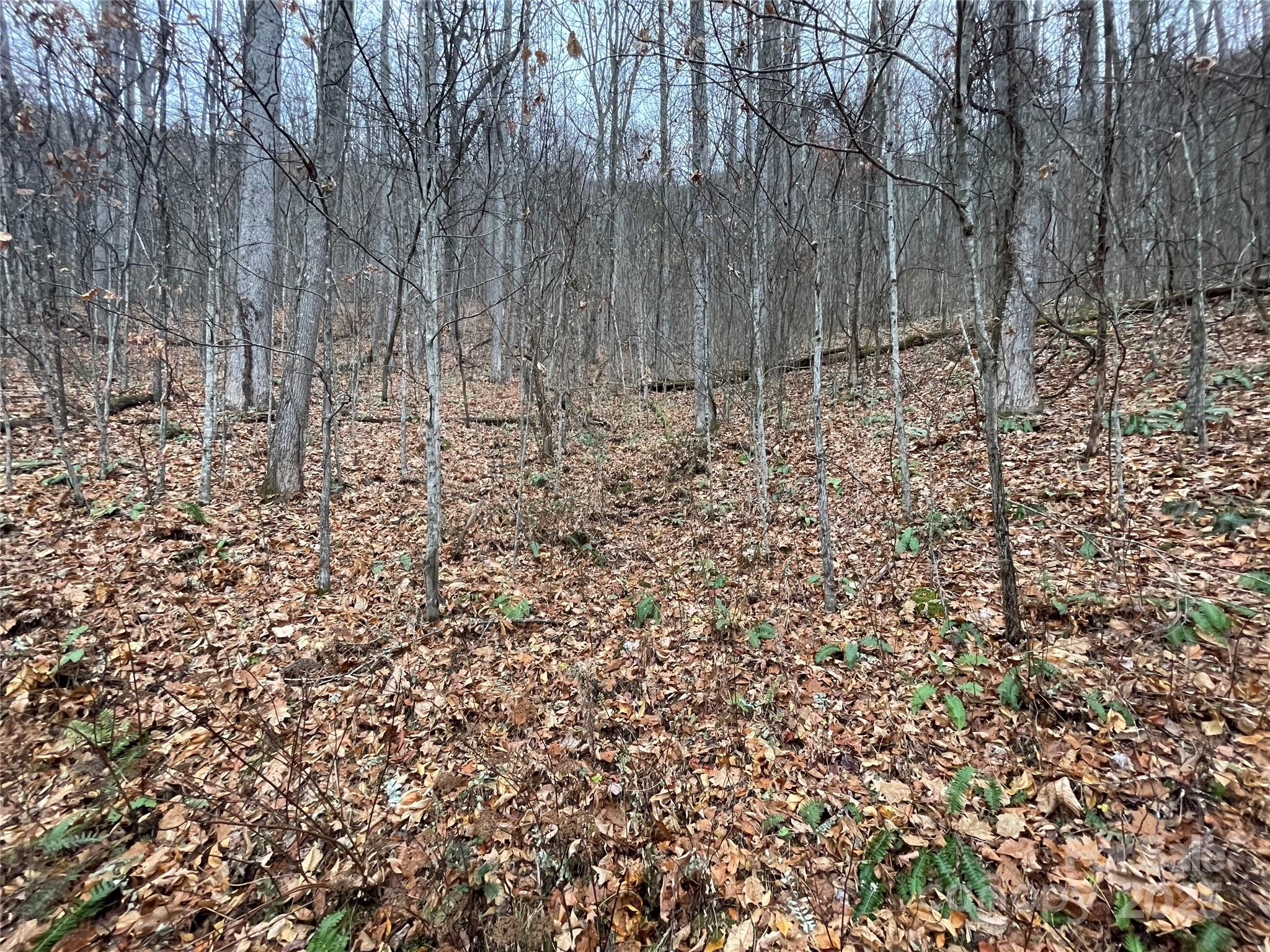 805 Sparkling Falls Road