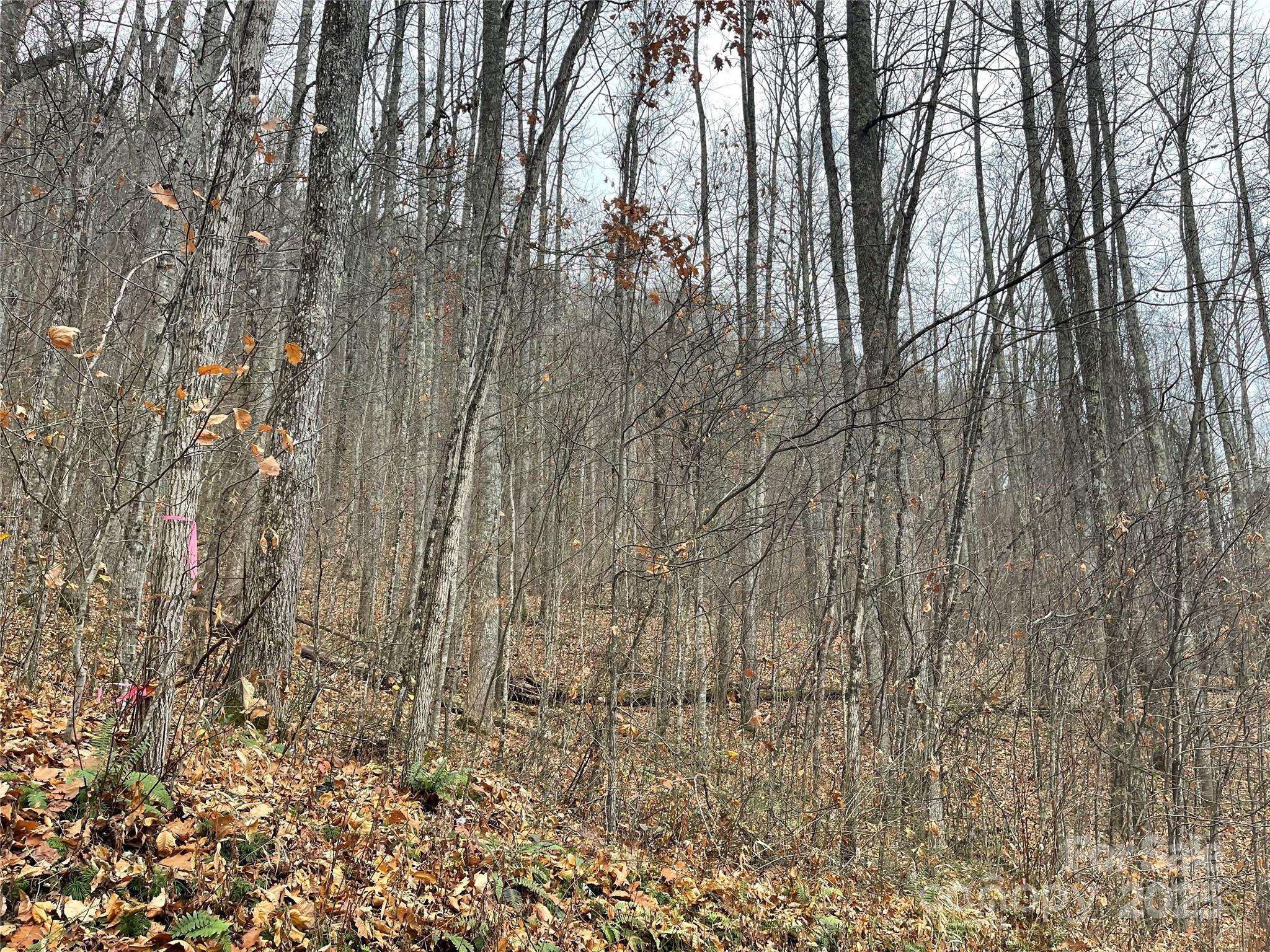 805 Sparkling Falls Road