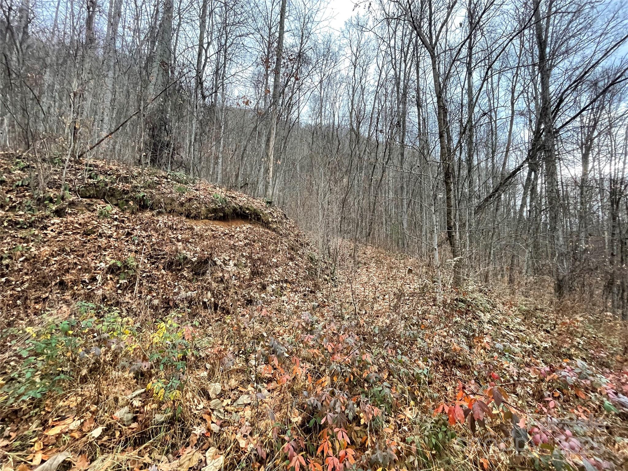 Black Bear Falls - Land