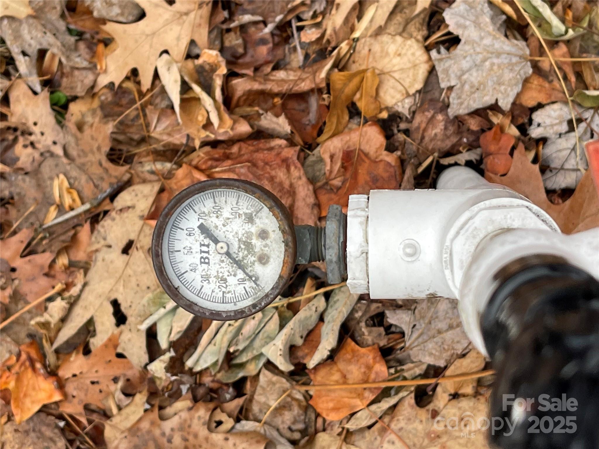 Black Bear Falls - Land