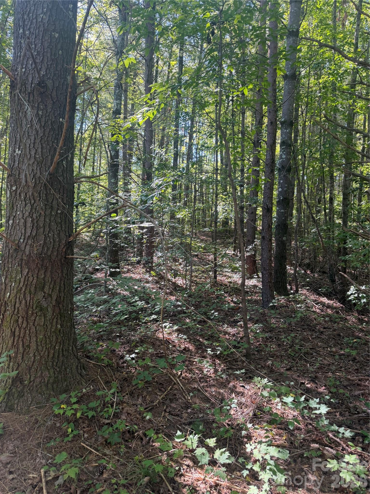 000 Old Neal Road
