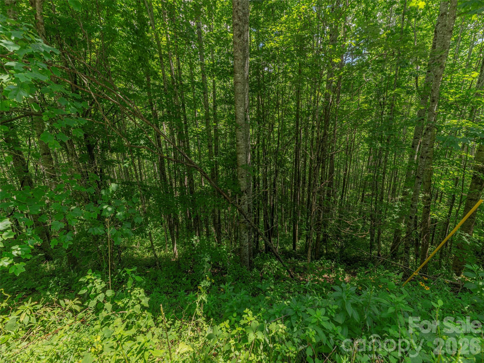000 Rough Knob Road