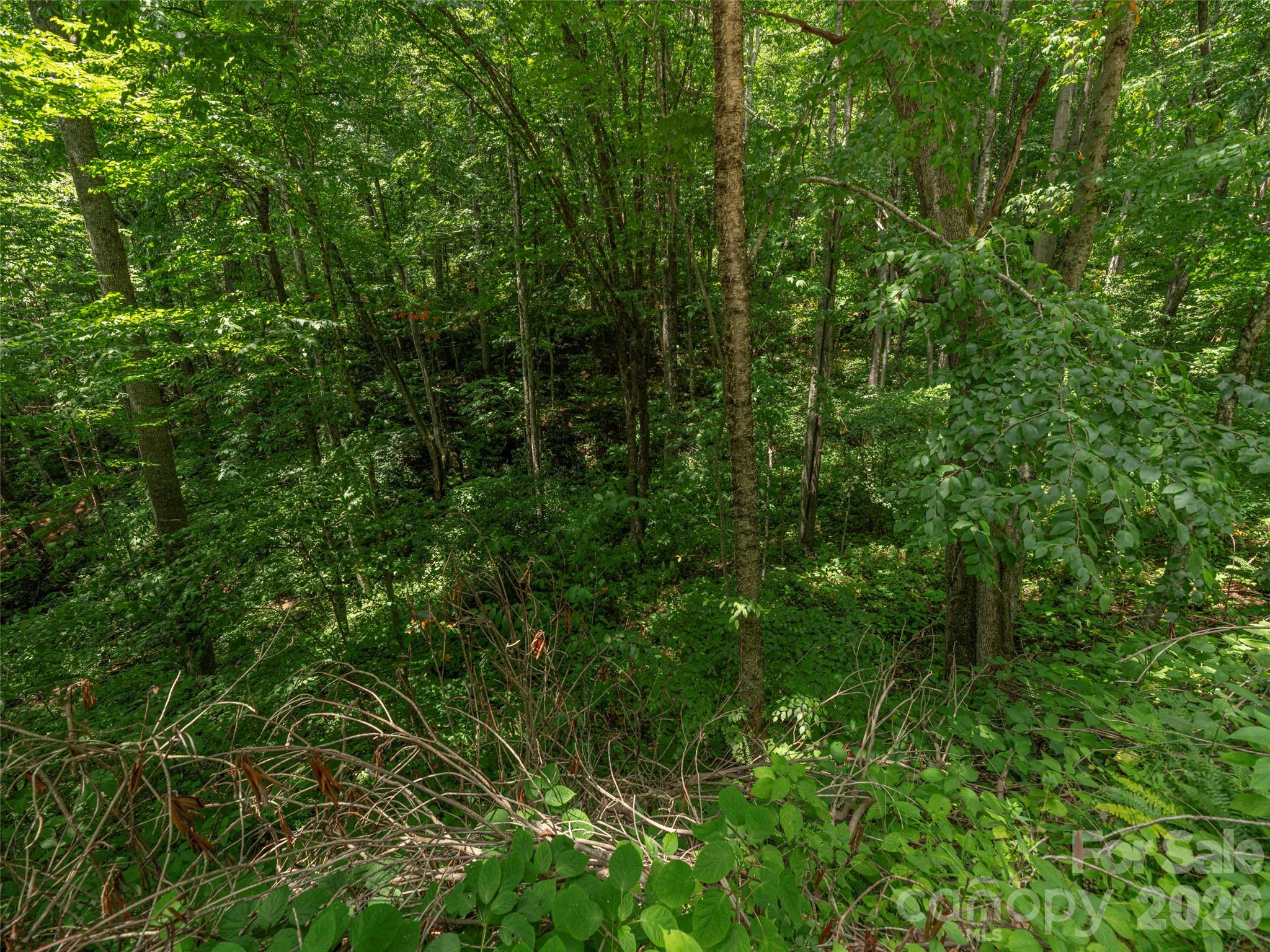 000 Rough Knob Road