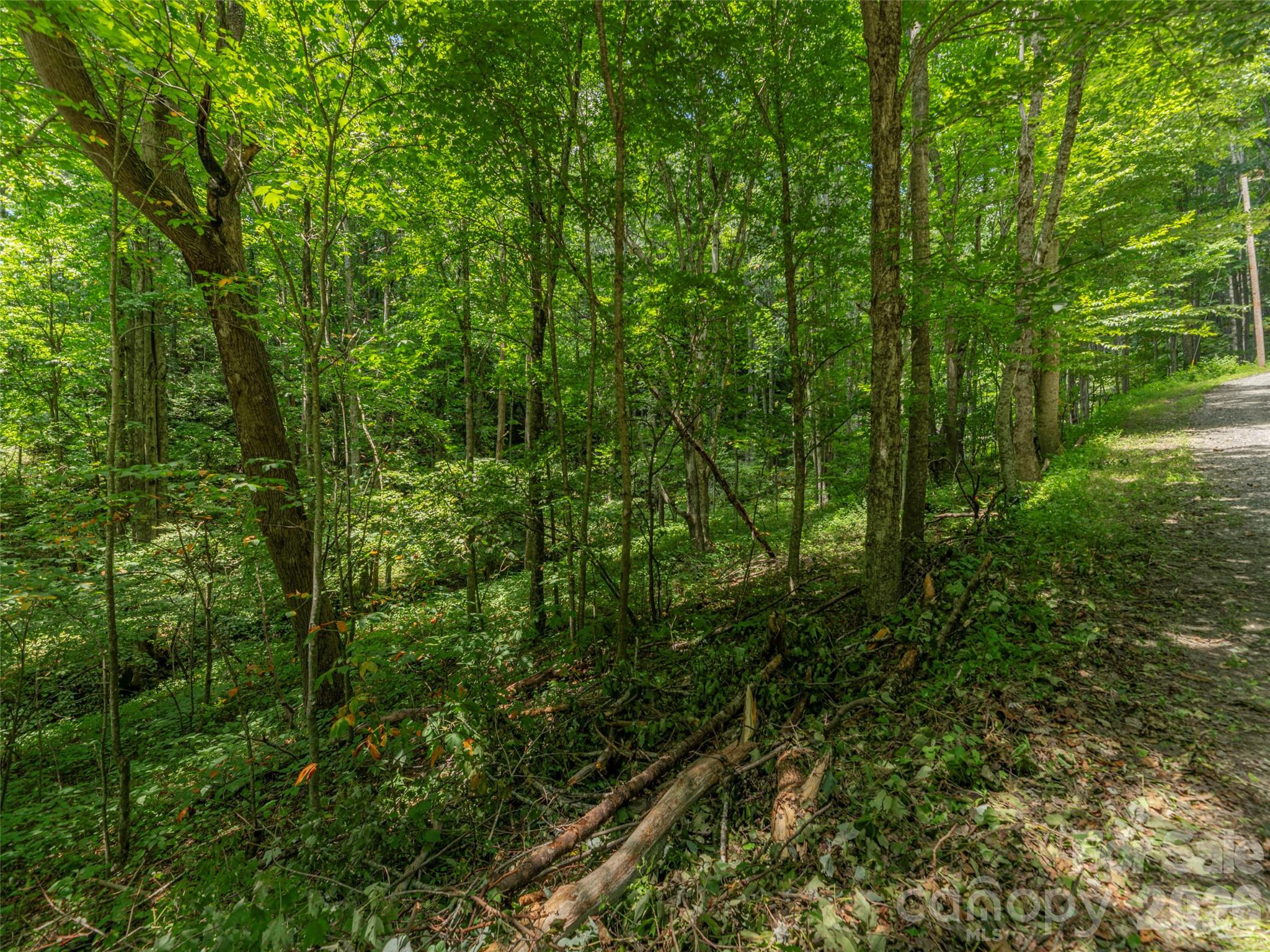 000 Rough Knob Road, Clyde, NC, 28721
