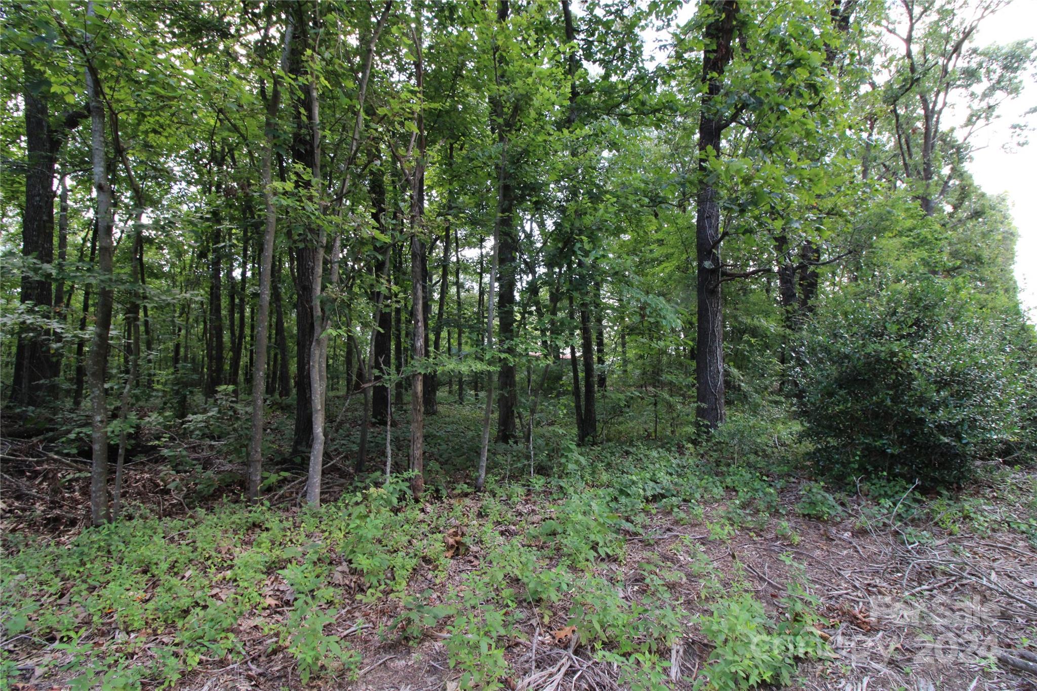 Ashley Estate - Land