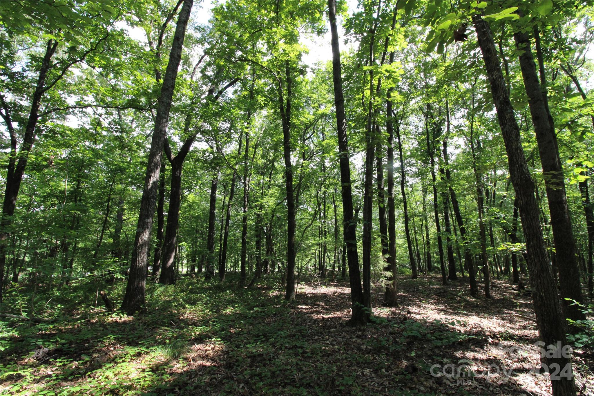 Ashley Estate - Land