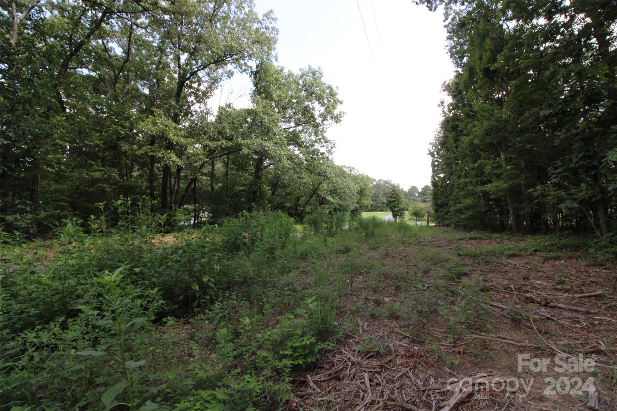 Ashley Estate - Land