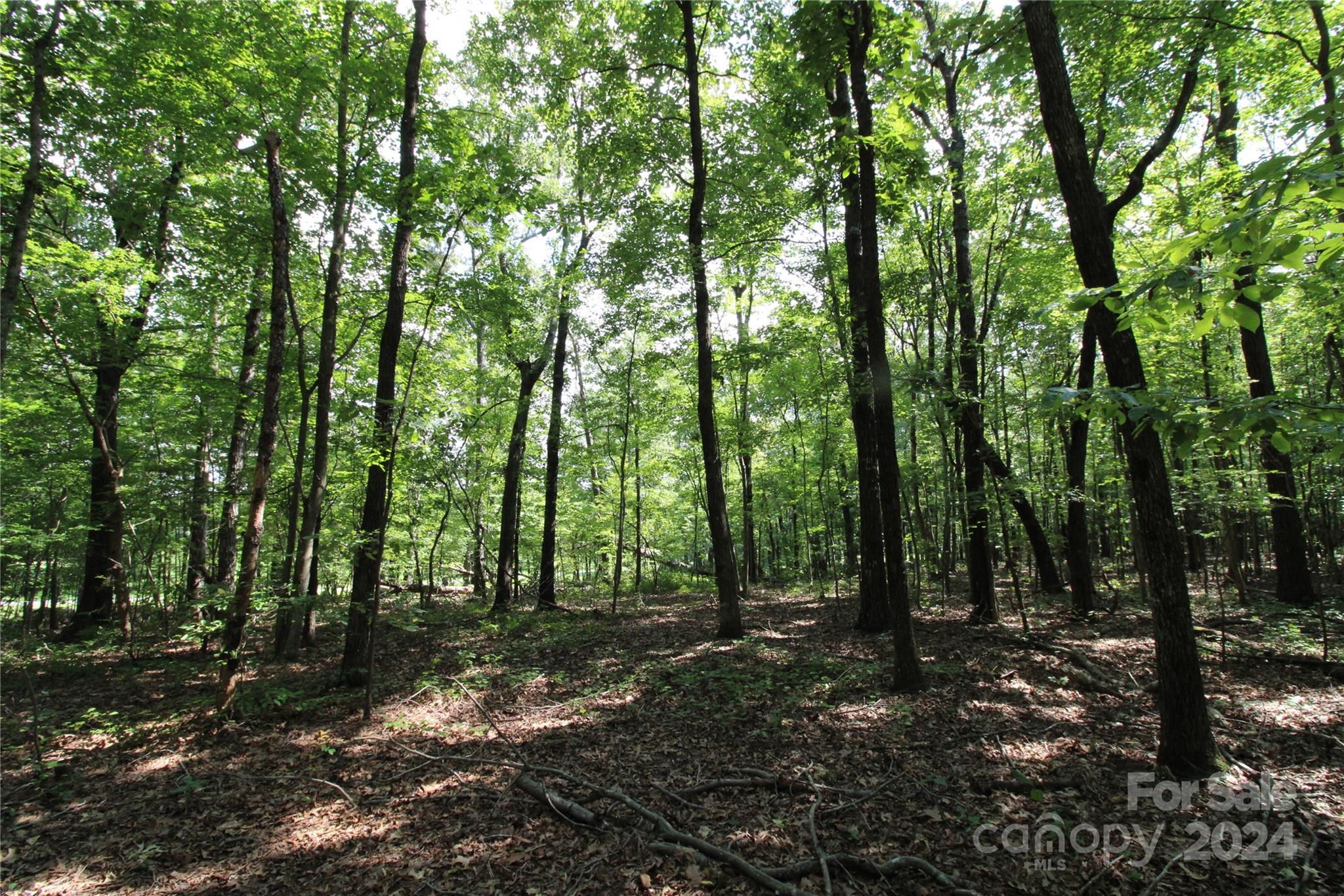 Ashley Estate - Land