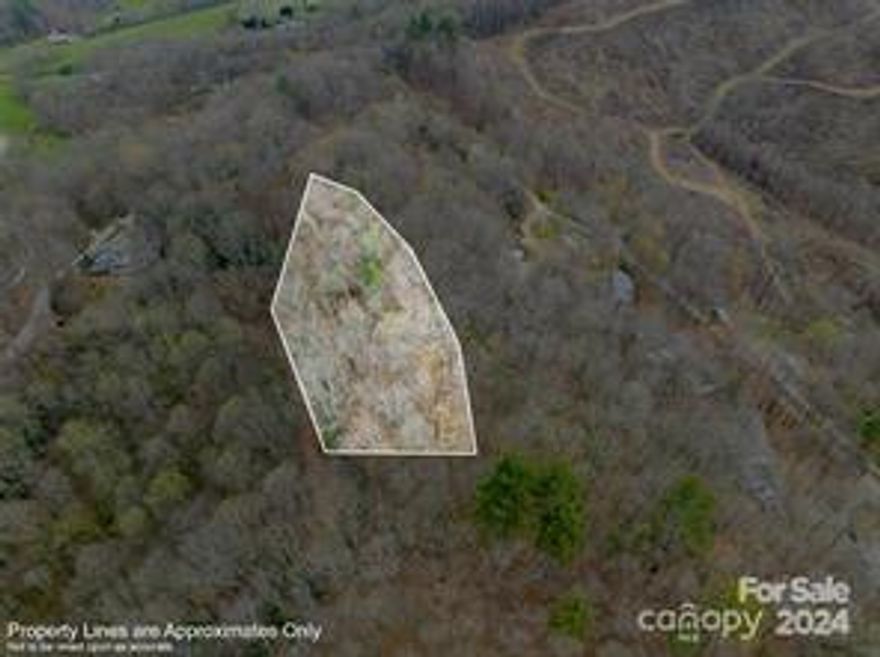 Just listed! One of several buildable lots now available in the Birchwood Estates Subdivision. Enjoy the coolness of a medium elevation and the quietness of the surrounded area with lots of nature and heavily forested area. Ridgeline lot that has a great view possibility with tree trimming. Very light restrictions. Very convenient to Maggie Valley and Waynesville shopping areas. Roads very well maintained through out the neighborhood of existing beautiful homes. Great location to settle down fulltime or invest in your future with a second or vacation home.