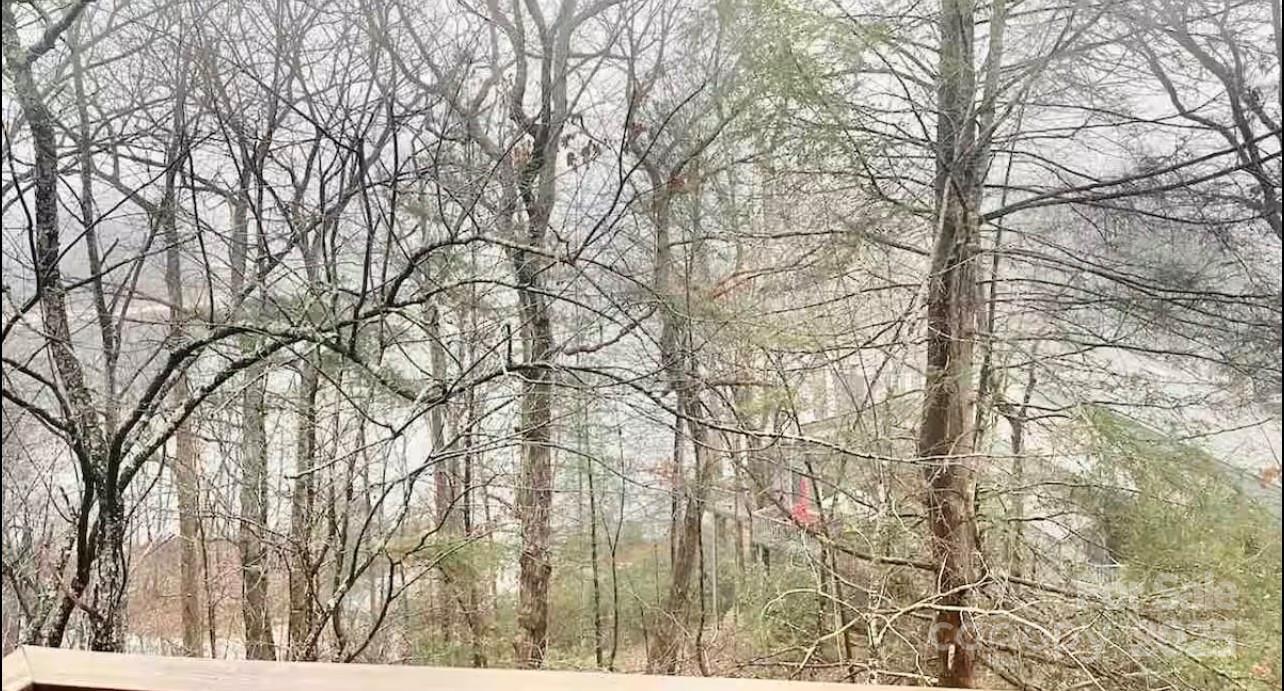 Rumbling Bald on Lake Lure - Residential