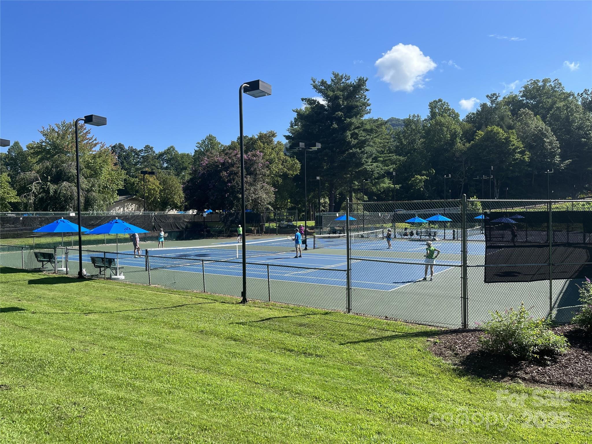Rumbling Bald on Lake Lure - Residential