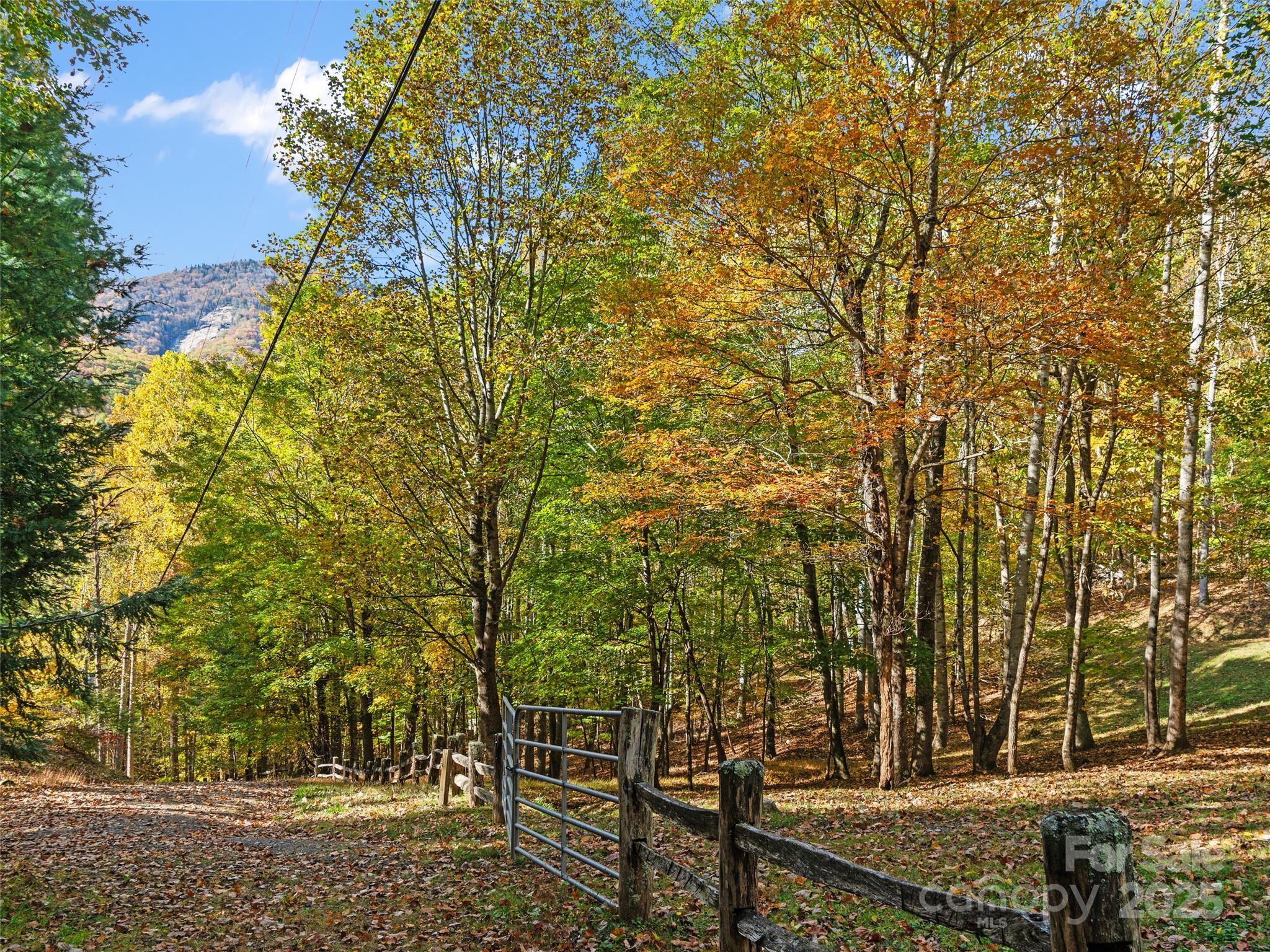 The Cove at Celo Mountain - Land