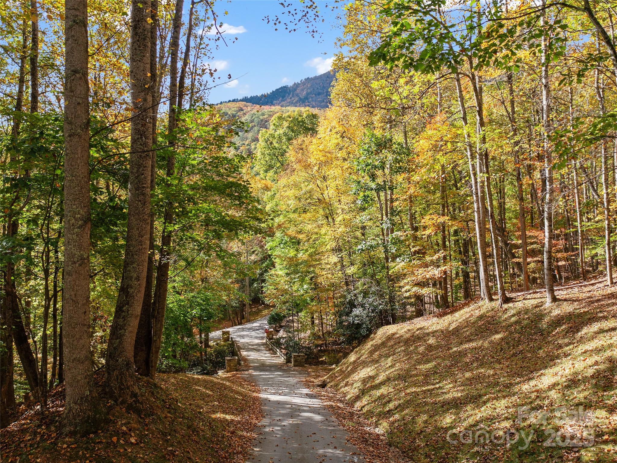 The Cove at Celo Mountain - Land