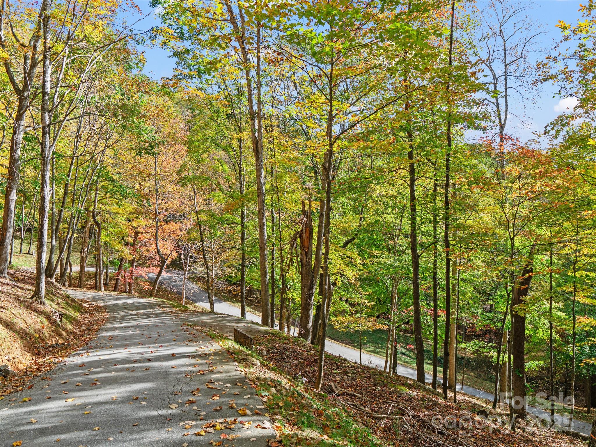 The Cove at Celo Mountain - Land