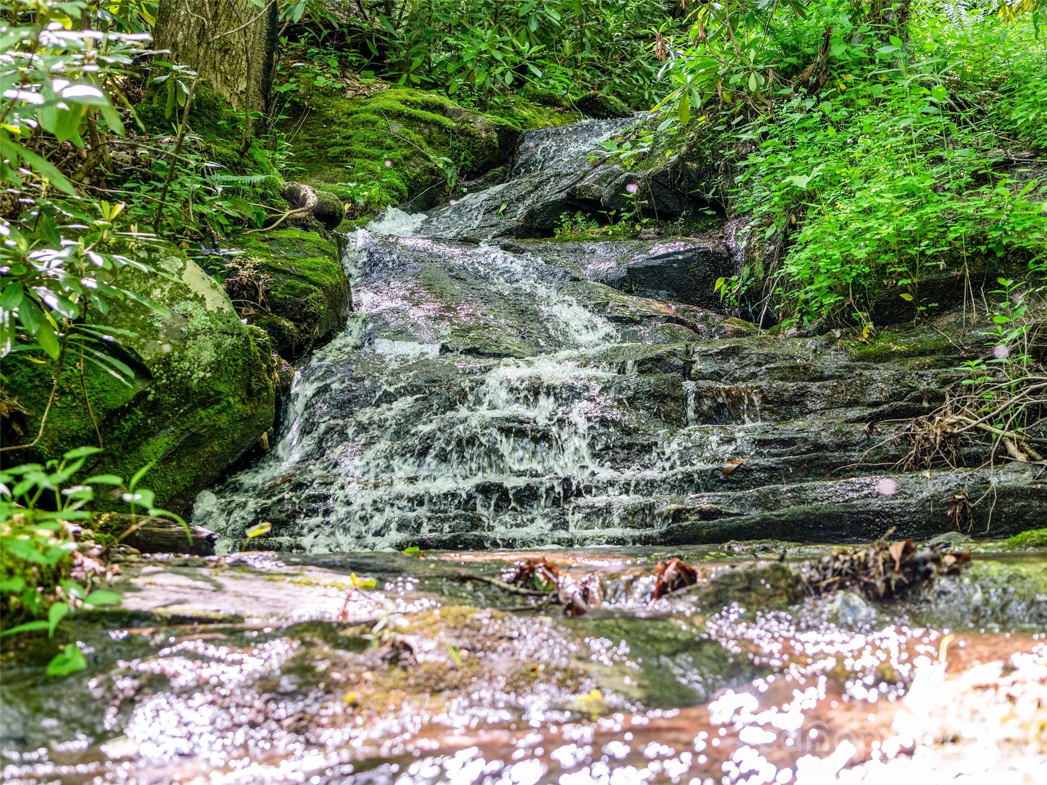 The Cove at Celo Mountain - Land