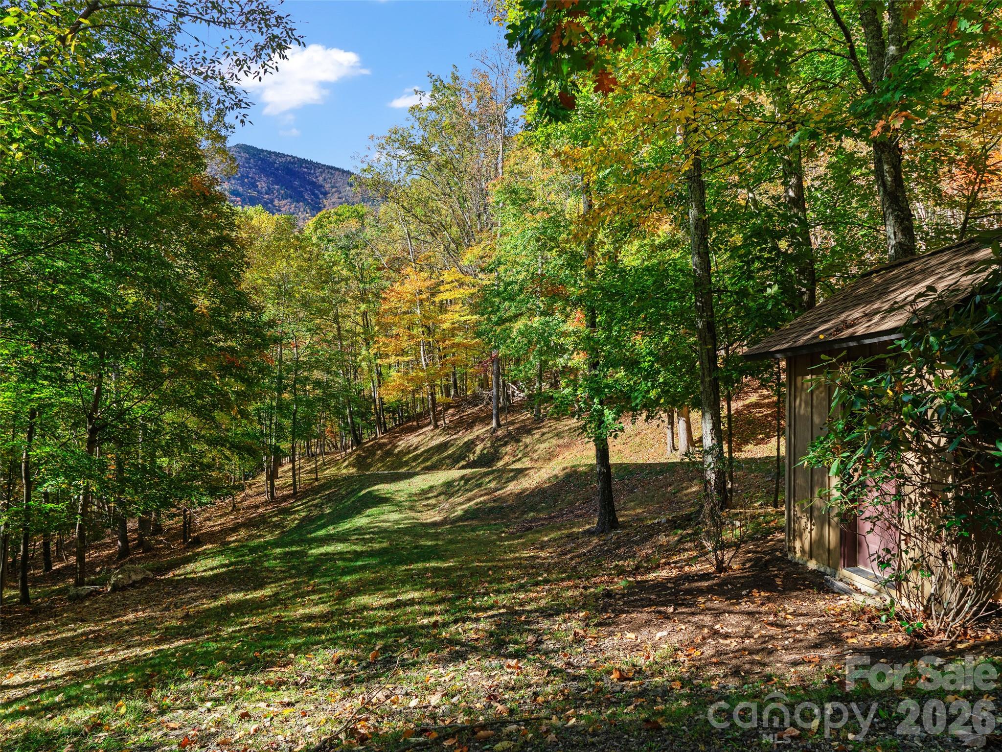 The Cove at Celo Mountain - Land