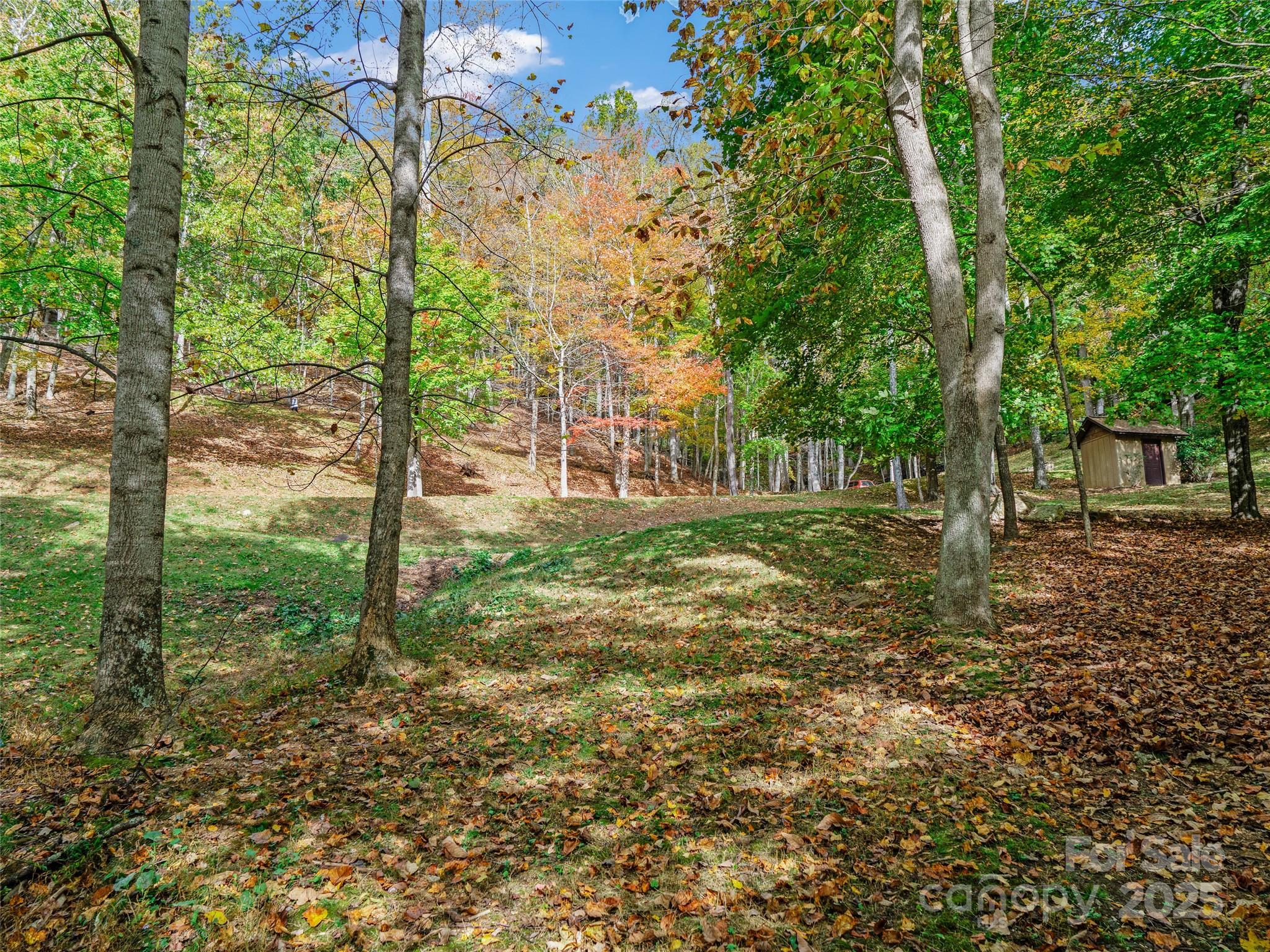 The Cove at Celo Mountain - Land