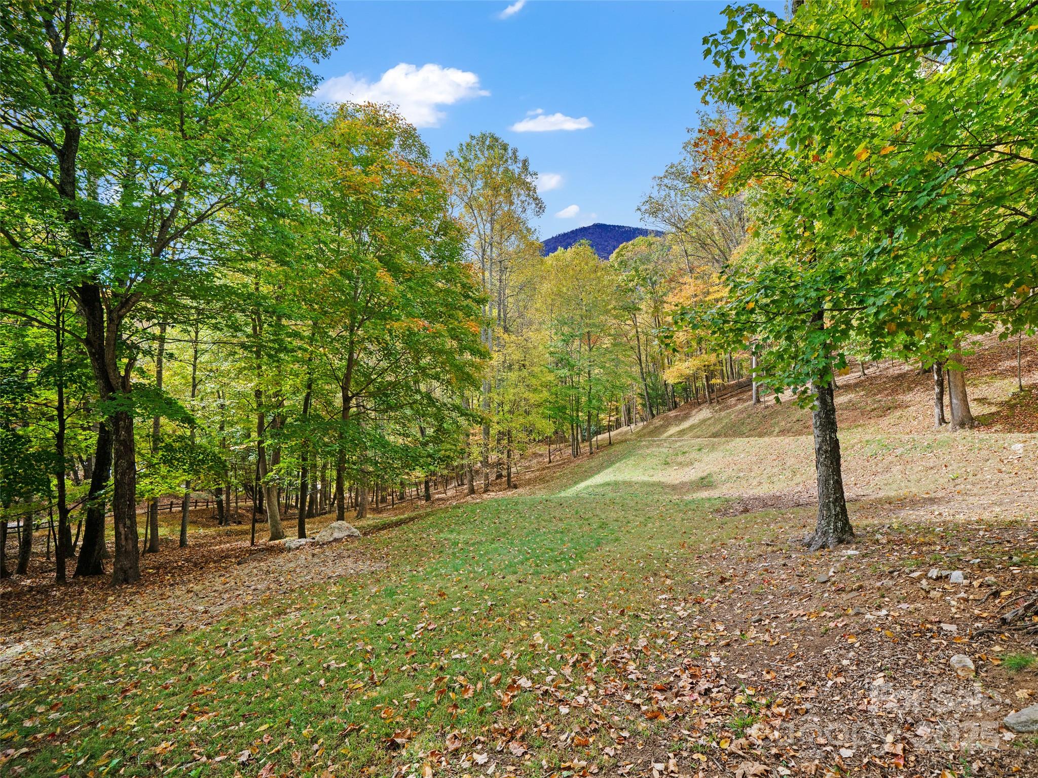 The Cove at Celo Mountain - Land