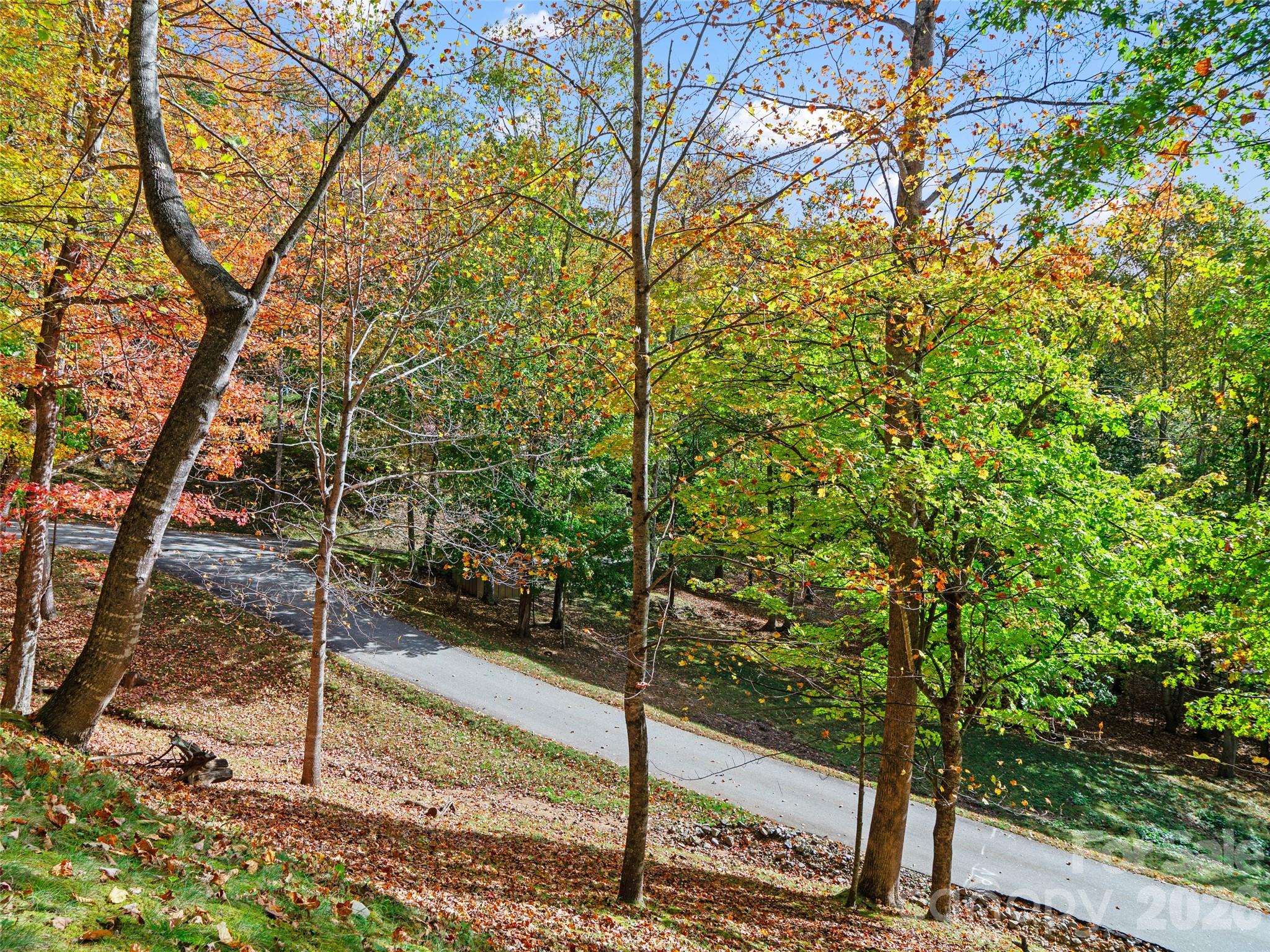The Cove at Celo Mountain - Land