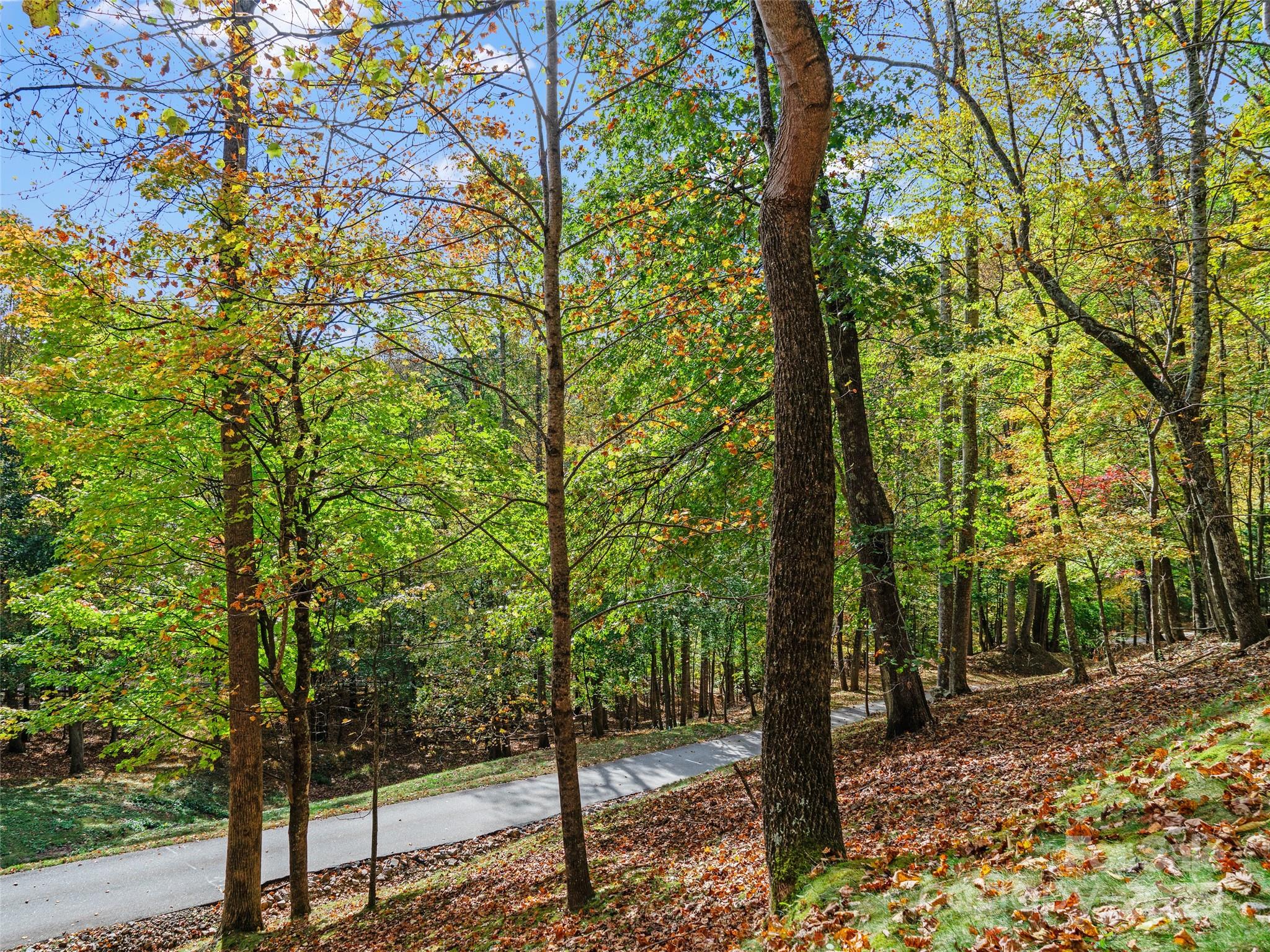 The Cove at Celo Mountain - Land